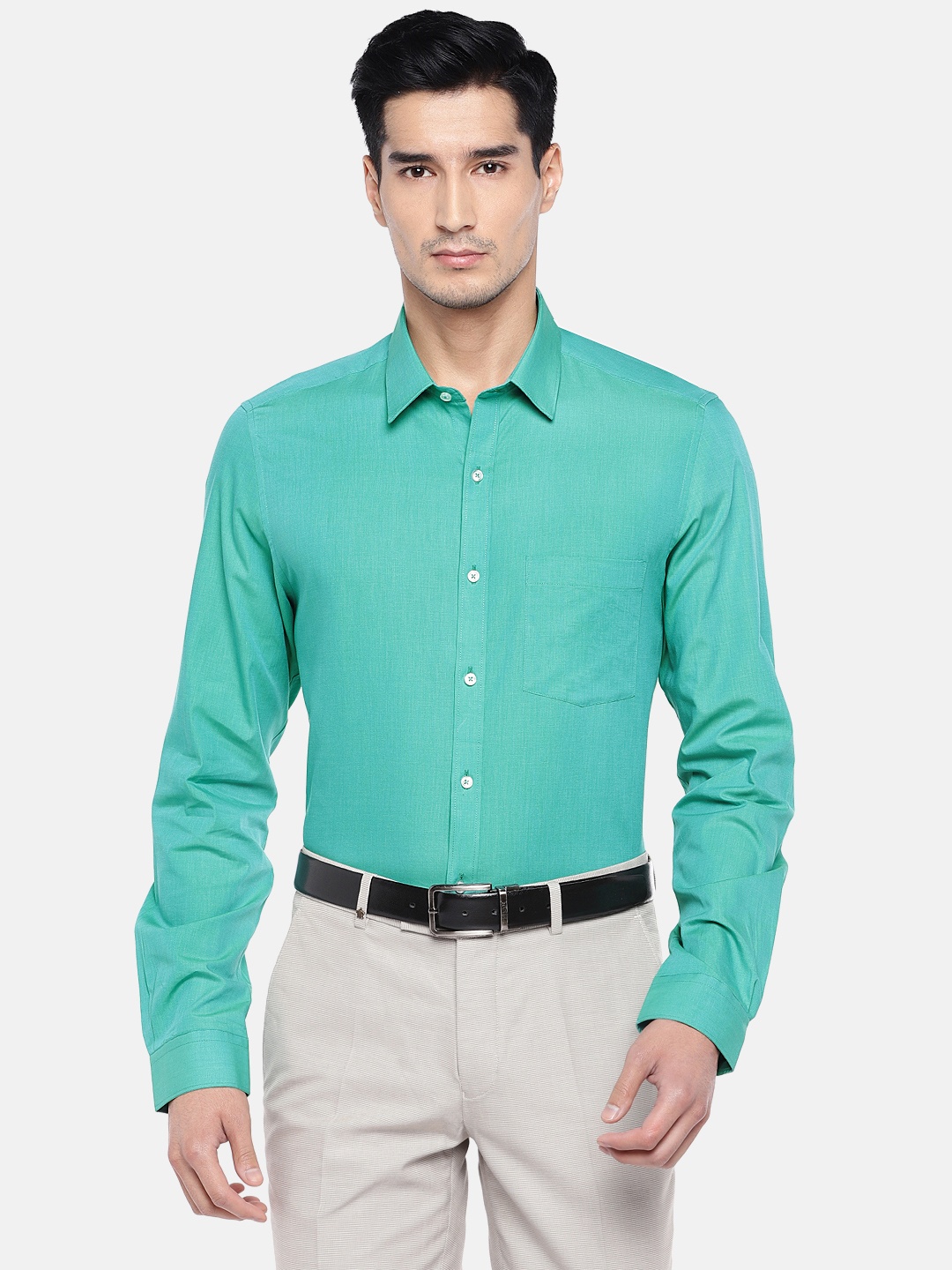 

Turtle Men Green Relaxed Slim Fit Solid Formal Shirt