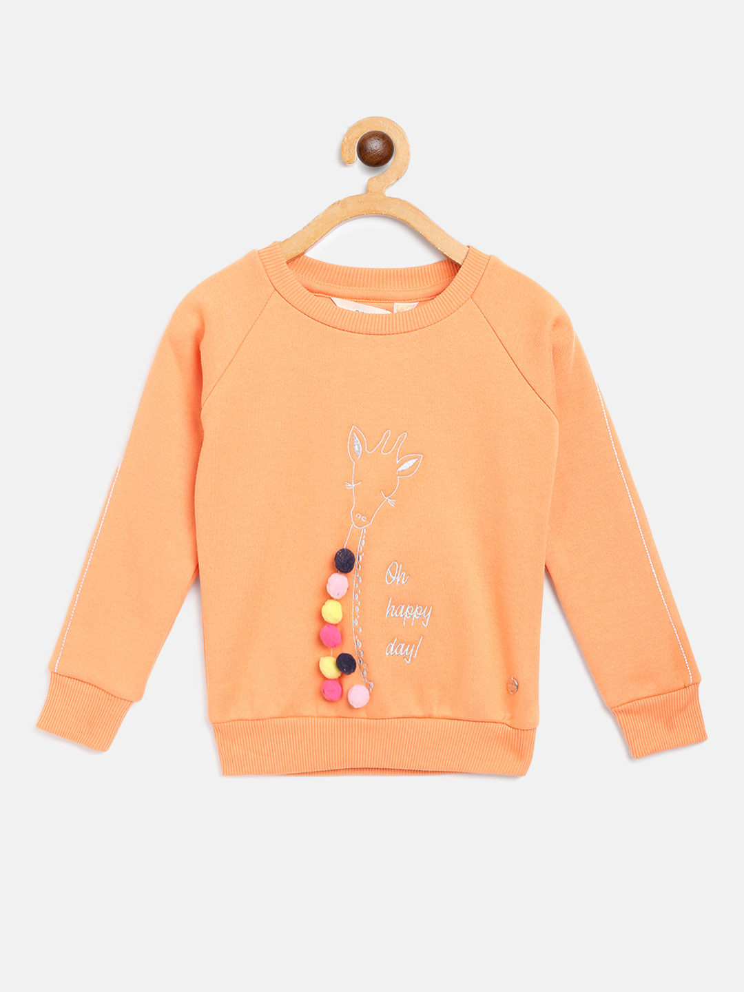 

Gini and Jony Girls Orange Embroidered Sweatshirt
