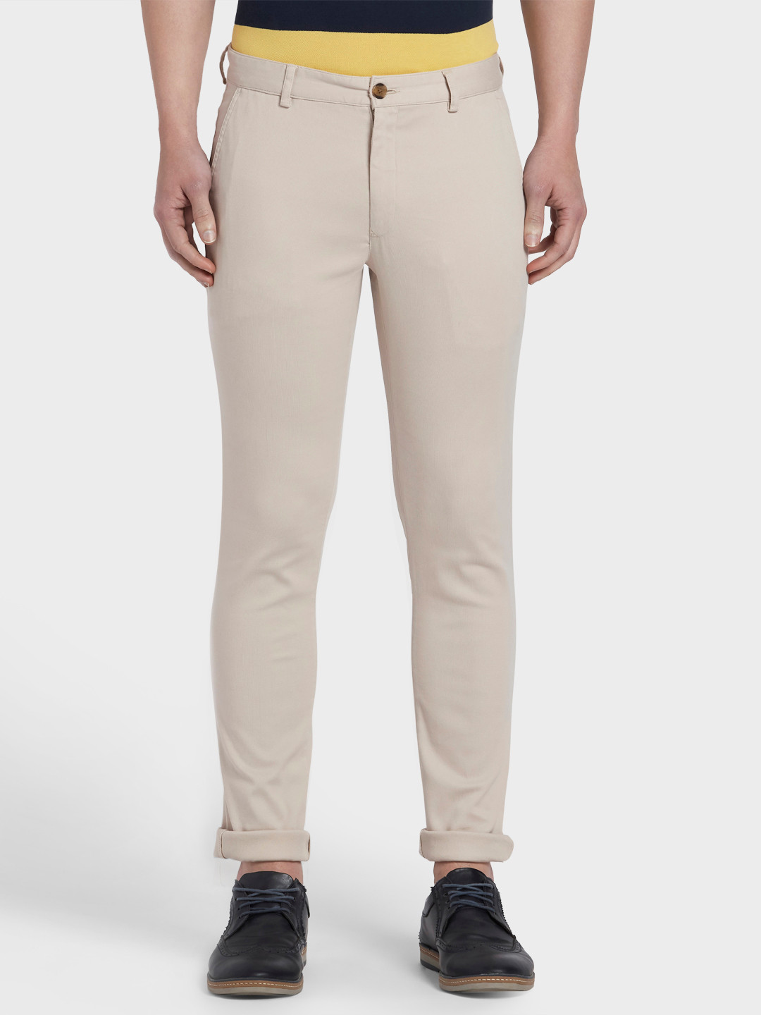 

ColorPlus Men Beige Solid Regular Fit Regular Trousers