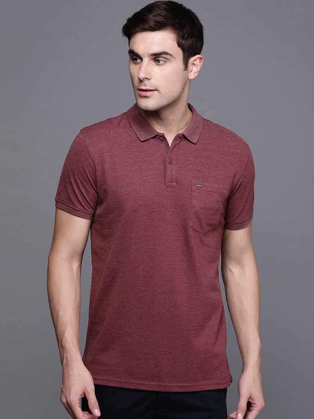 

Louis Philippe Sport Men Burgundy Solid Polo Collar T-shirt