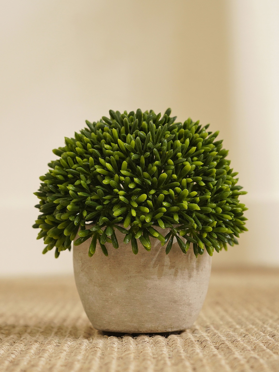 

Pure Home and Living Green Artificial Plant With Pot