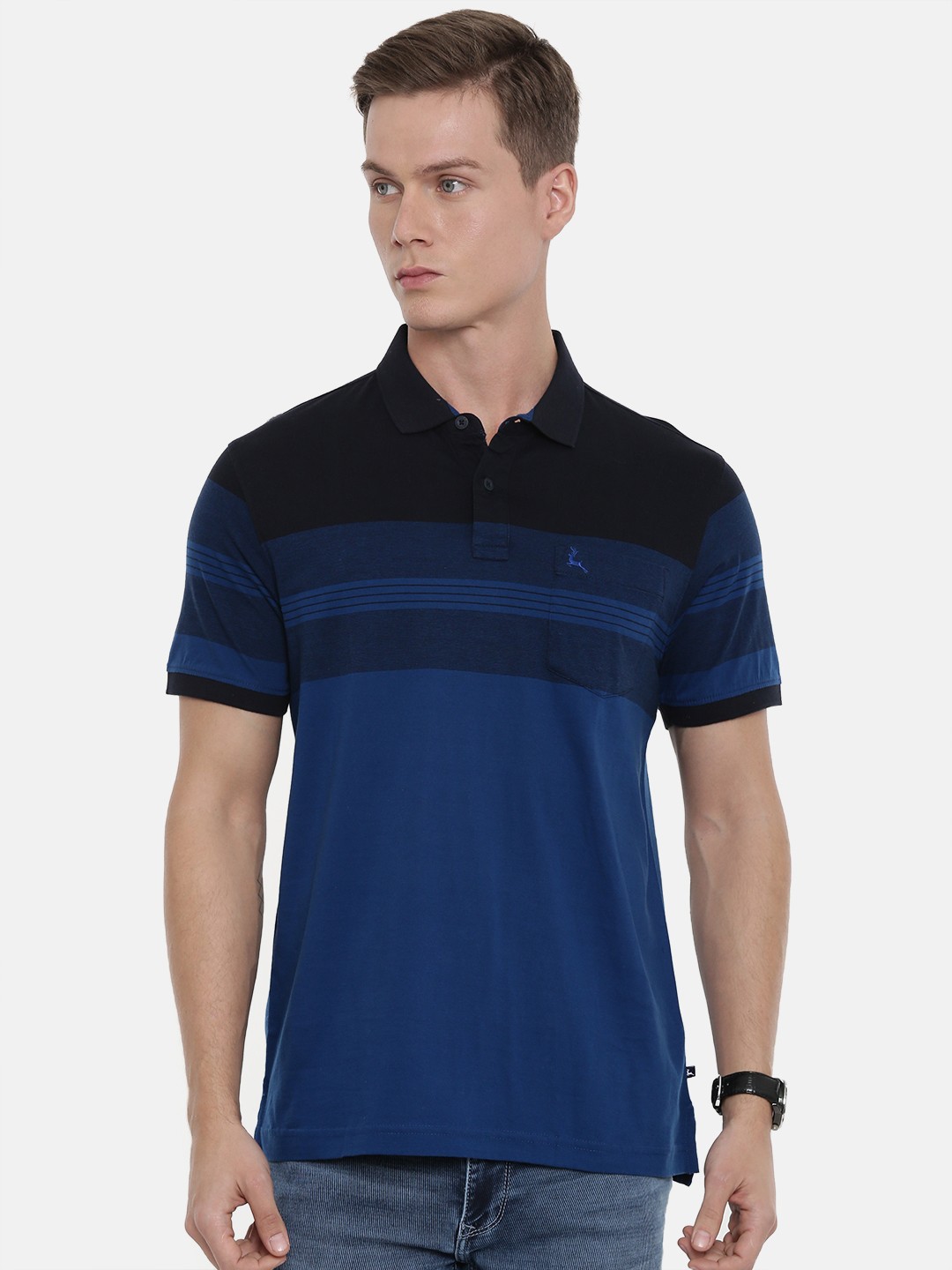 

Parx Men Blue Striped Polo Collar Pure Cotton T-shirt