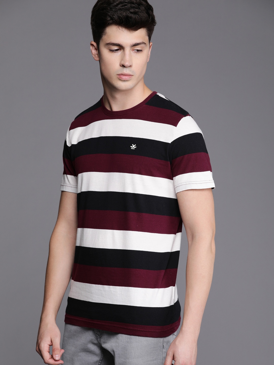 

WROGN Men Maroon White Slim Fit Striped Round Neck Pure Cotton T-shirt