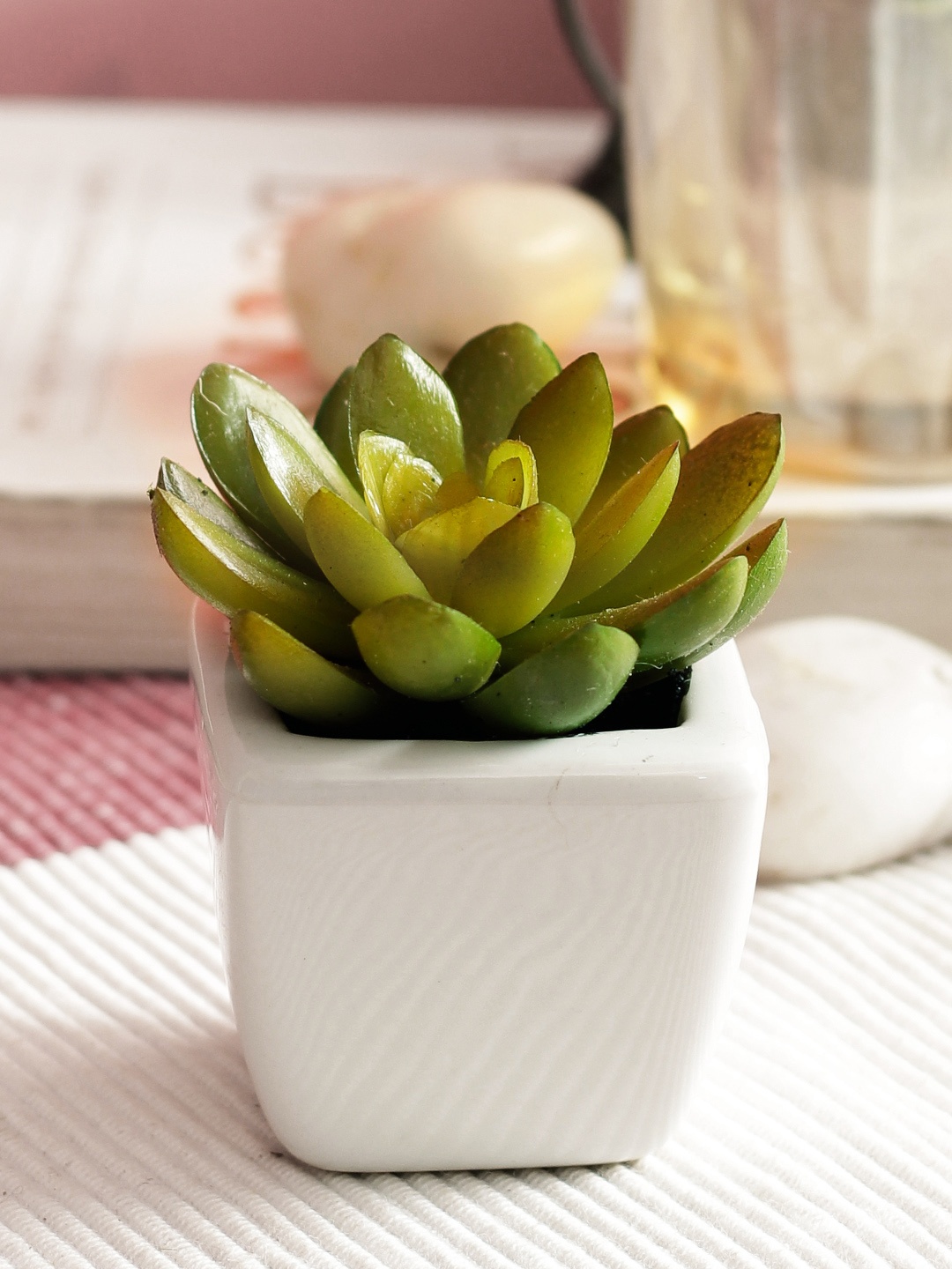 

PolliNation Green Set of 2 Artificial Succulent Plant With White Ceramic Pot