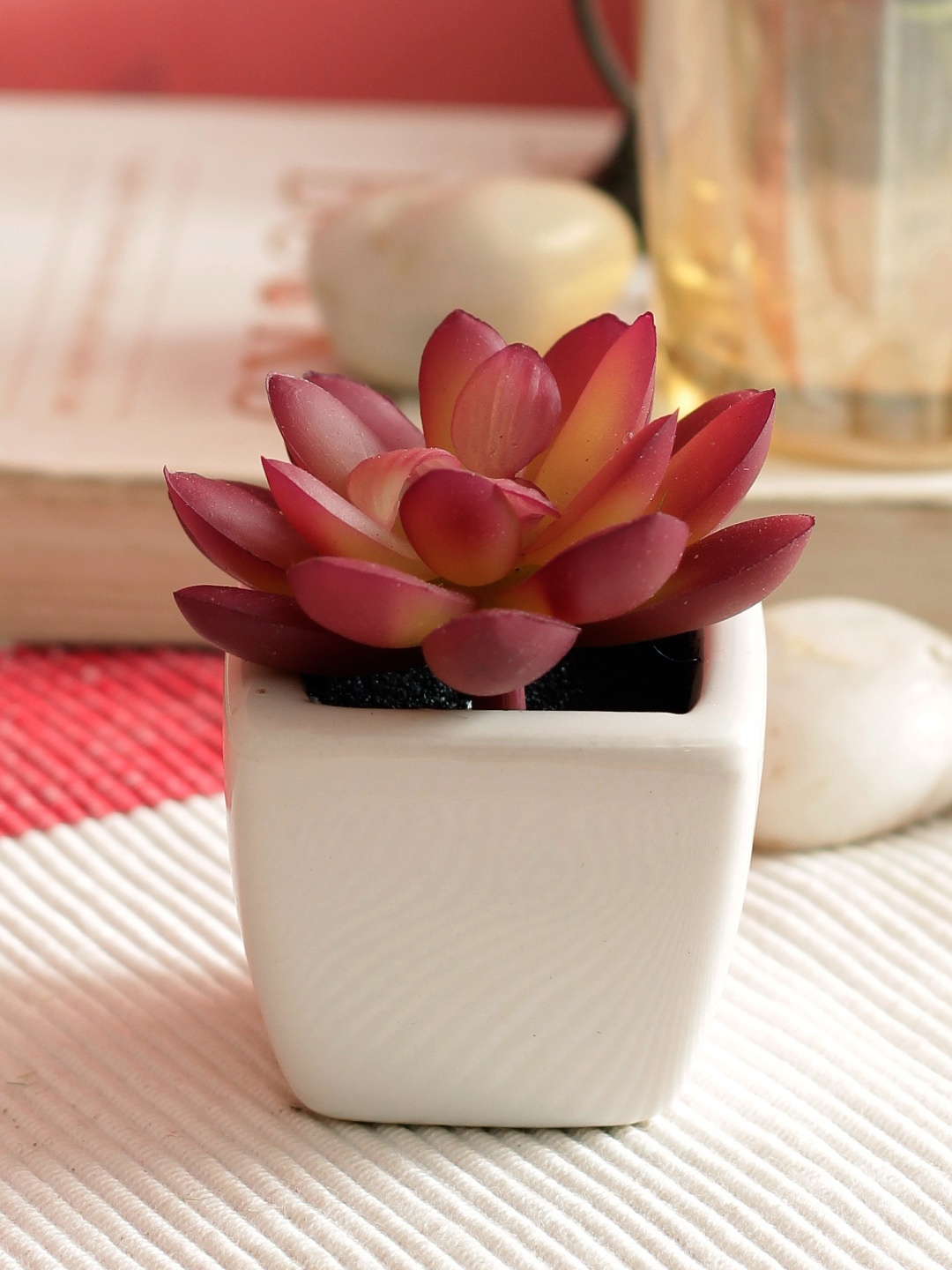 

PolliNation Red Set of 2 Artificial Succulent Plant With White Ceramic Pot