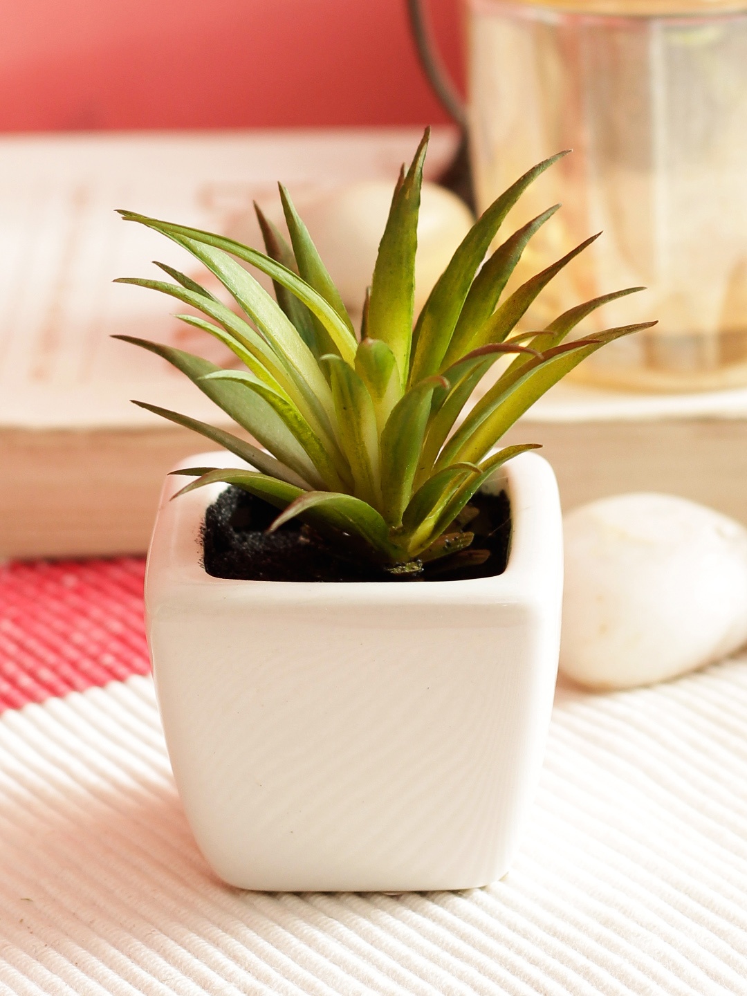 

PolliNation Green Set of 2 Artificial Succulent Bonsai With White Ceramic Pot
