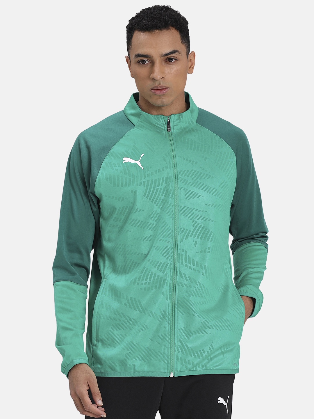 

Puma Men Green Colourblocked CUP Training Poly Core dryCELL Football Training Jacket