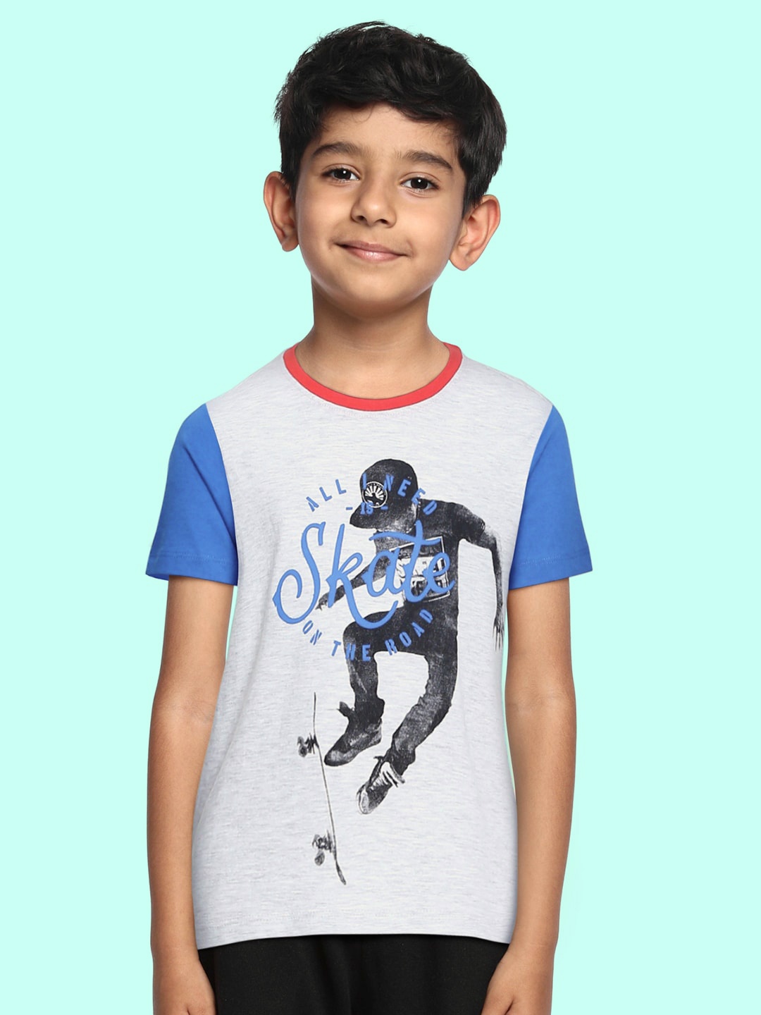 

Flying Machine Boys Grey Printed Round Neck T-shirt