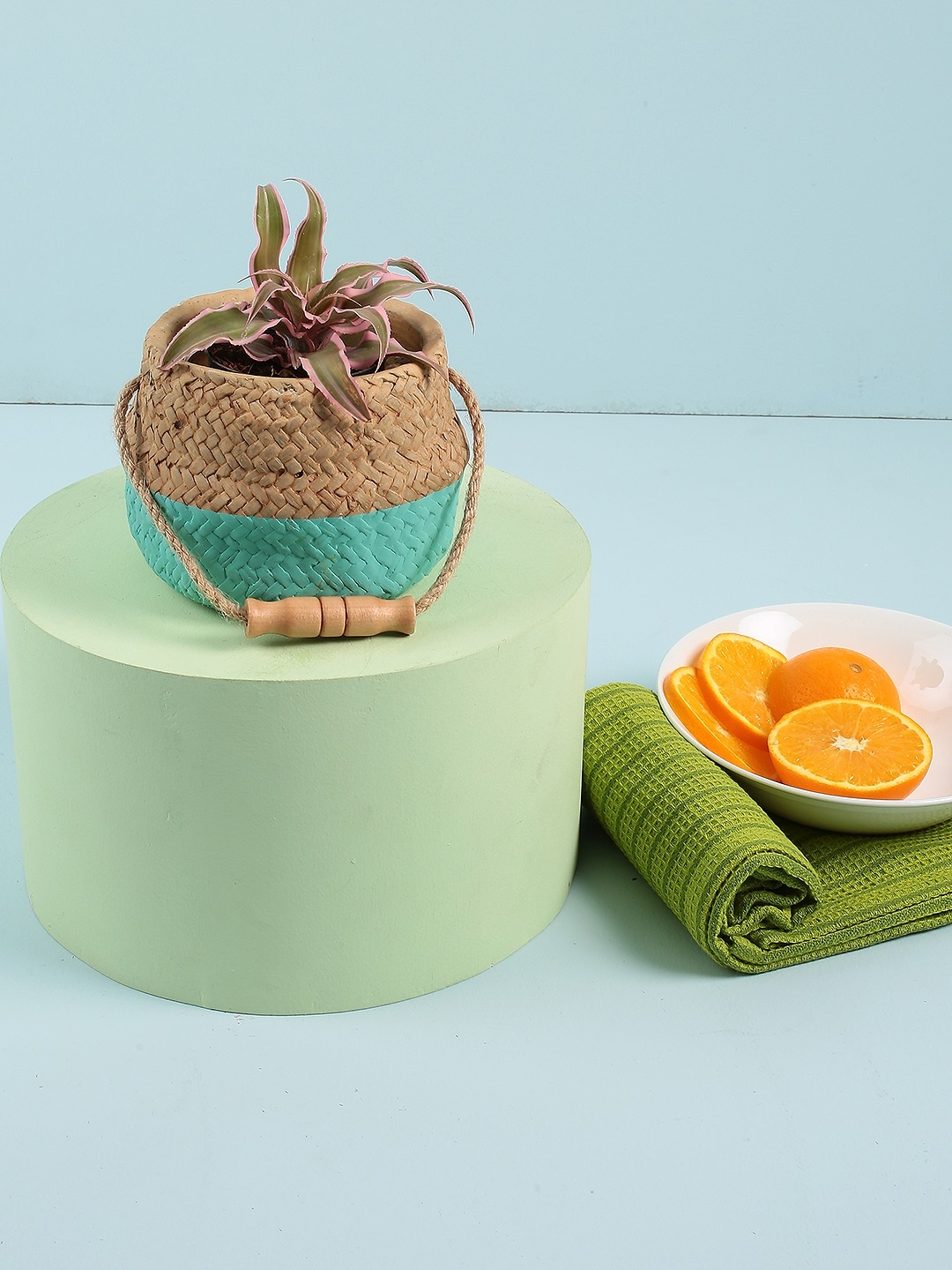 

Chumbak Sea Green & Beige Colourblocked Planter
