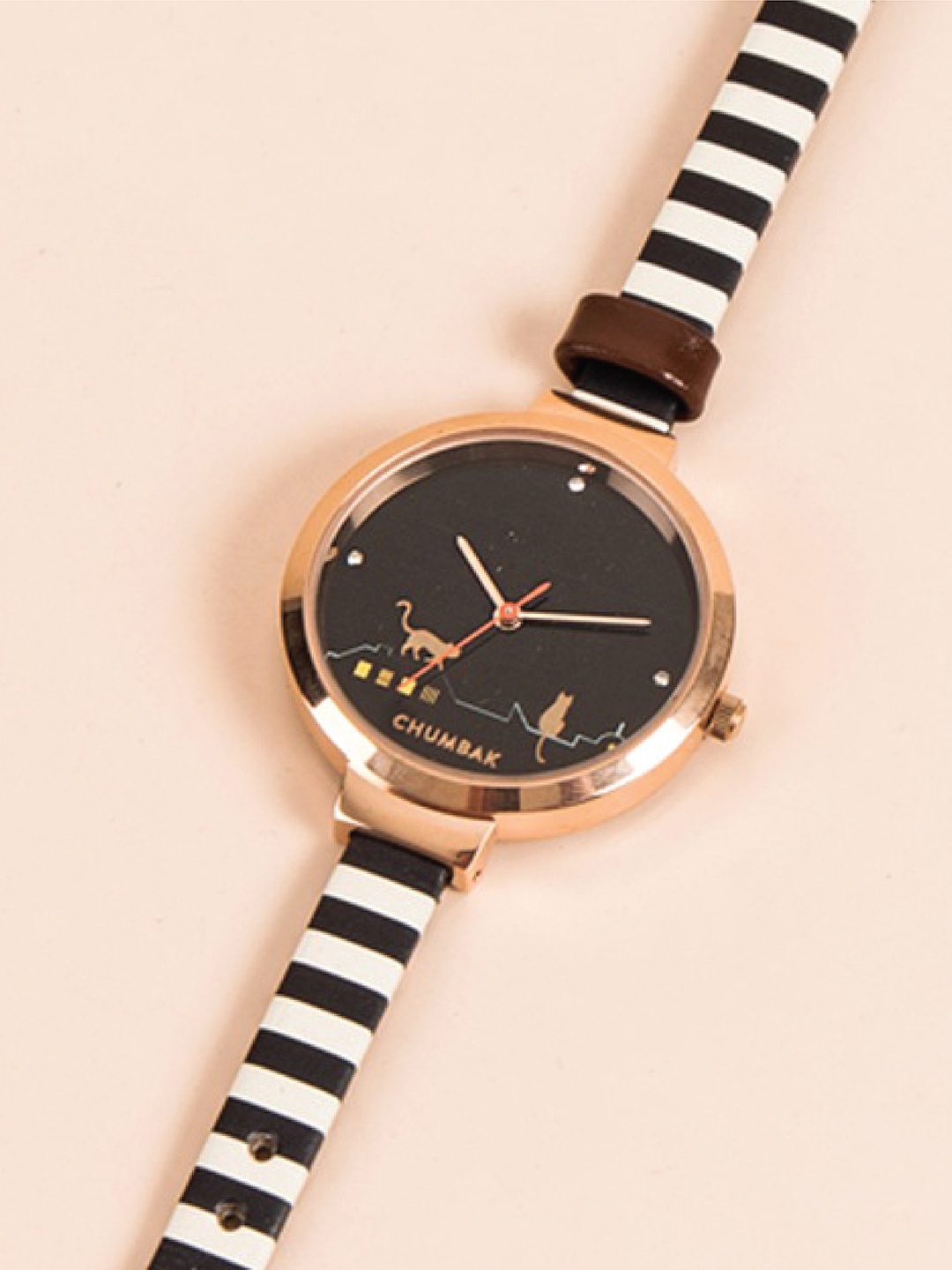 

Chumbak Women Black Analogue Watch 8907605087080