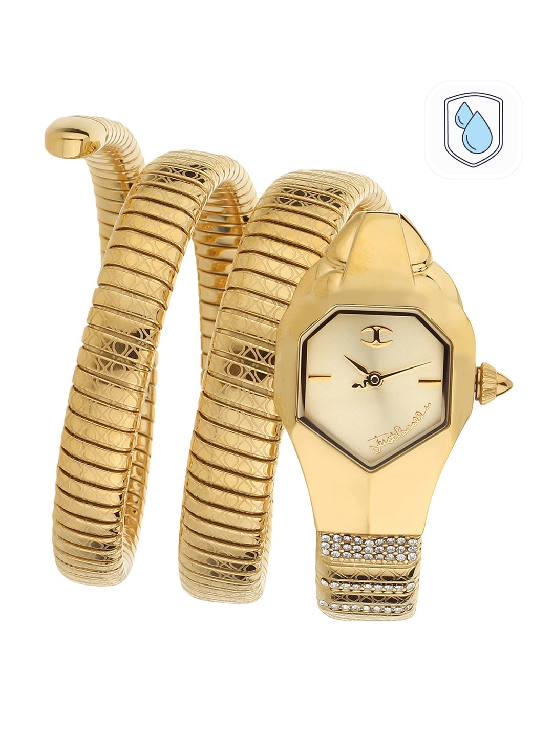 

Just Cavalli Women Gold-Toned Analogue Watch JC1L112M0025