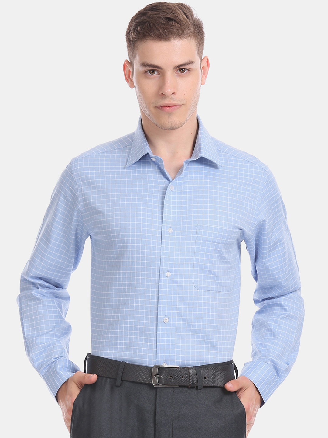 

Arrow Men Blue & White Regular Fit Checked Formal Shirt