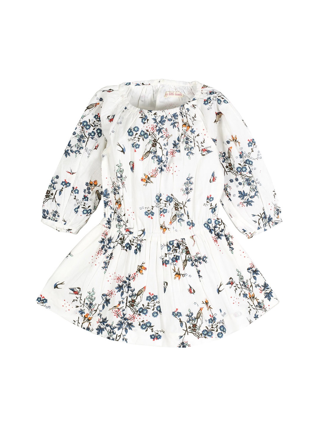 

My Little Lambs Girls Off-White & Blue Printed Fit and Flare Dress