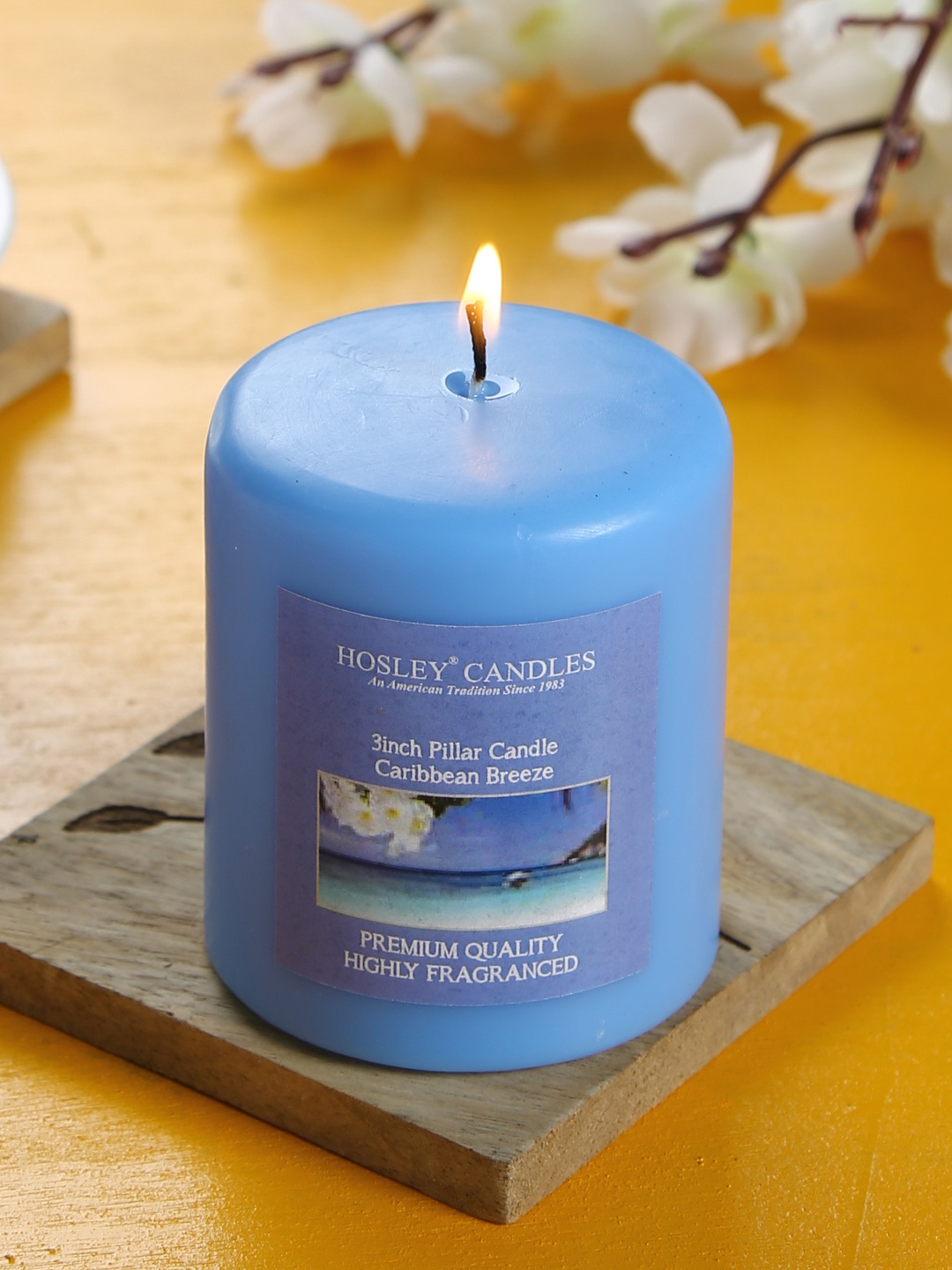 

HOSLEY Blue Caribbean Breeze Highly Fragranced 3inch Pillar Candle