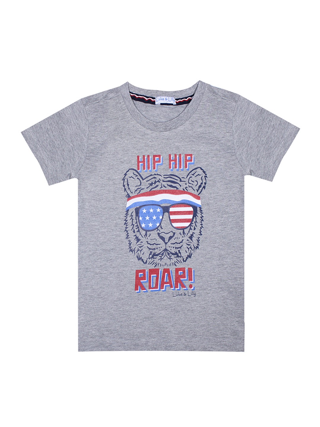 

Luke Lilly Boys Grey Printed Round Neck Pure Cotton T-shirt
