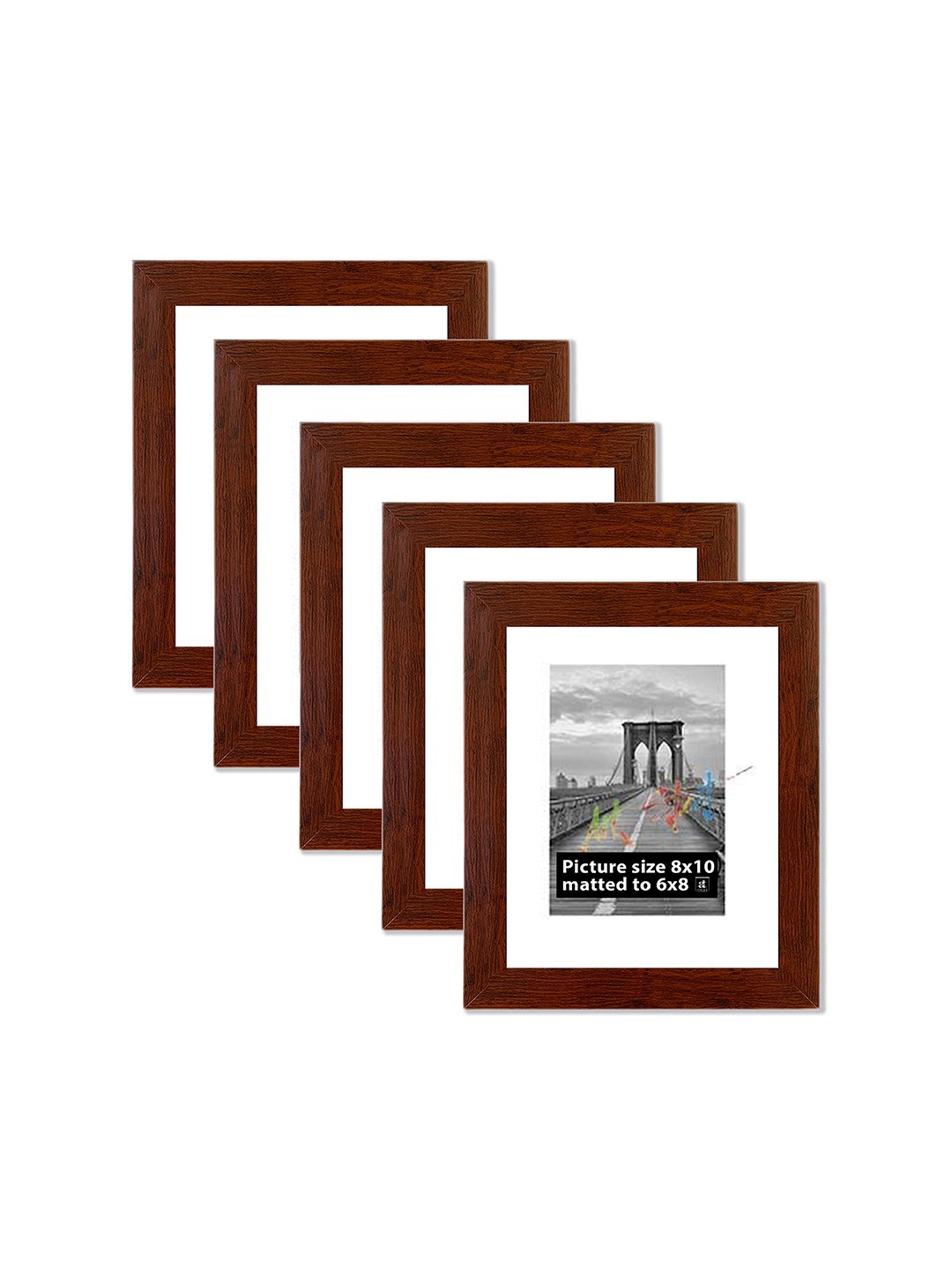 

Art Street Set Of 5 Beige Solid Individual Acrylic Photo Frames