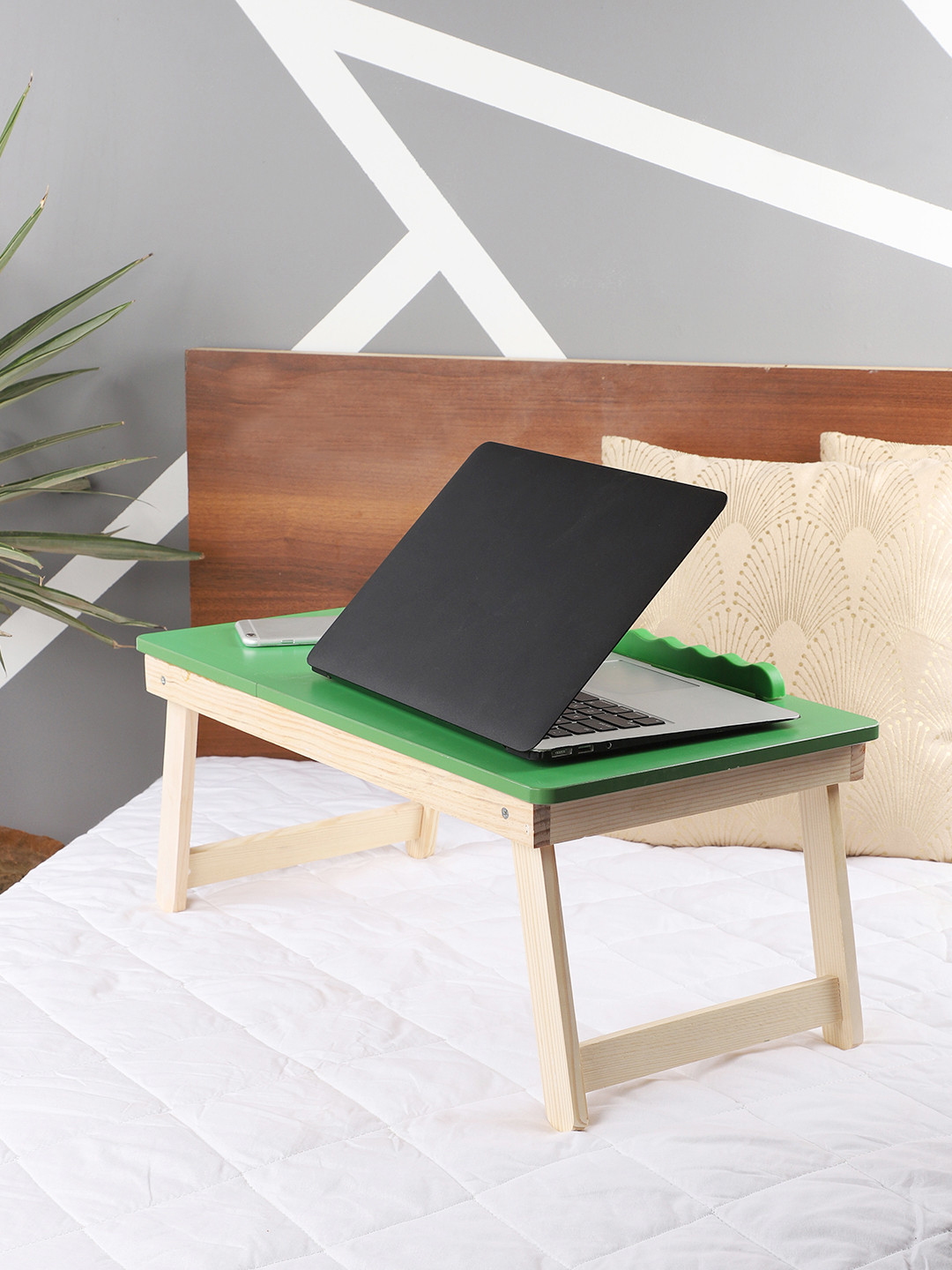 

CDI Green Solid Portable Folding Laptop Cum Study Table With Drawer