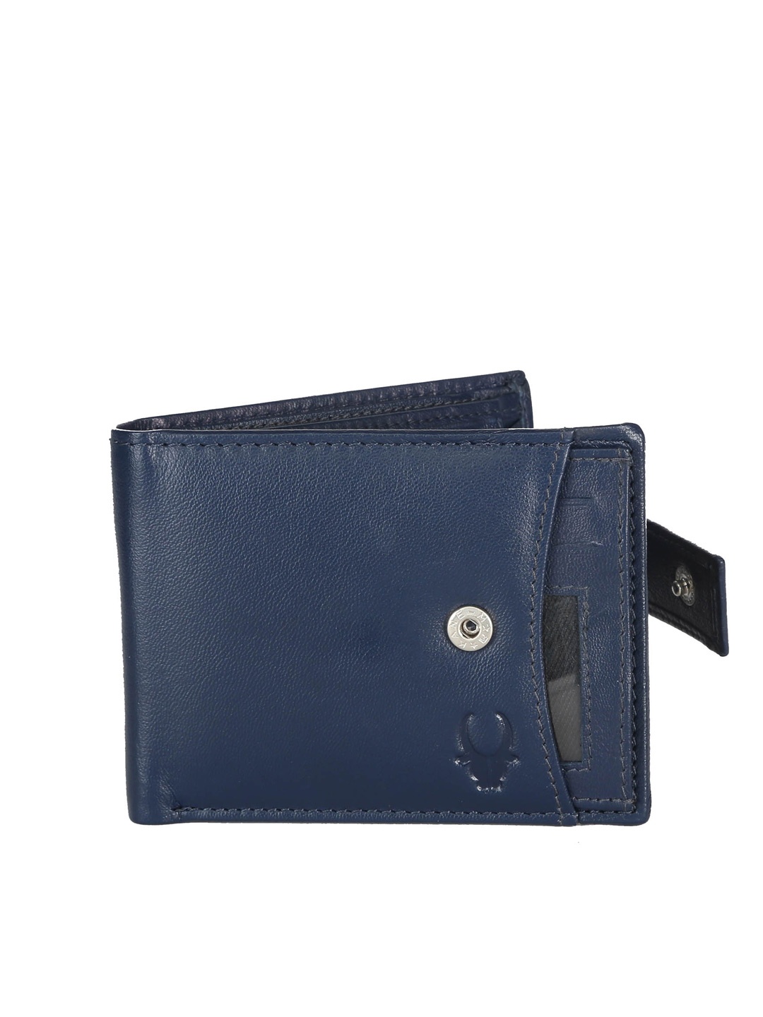 

WildHorn Men Blue Genuine Leather Wallet