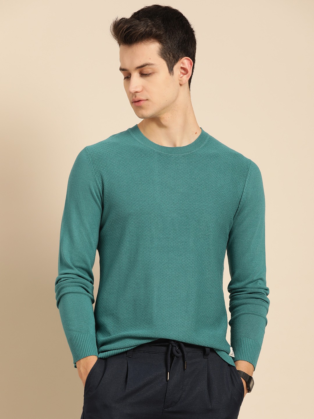 

Mr Bowerbird Men Blue Self Design Pullover