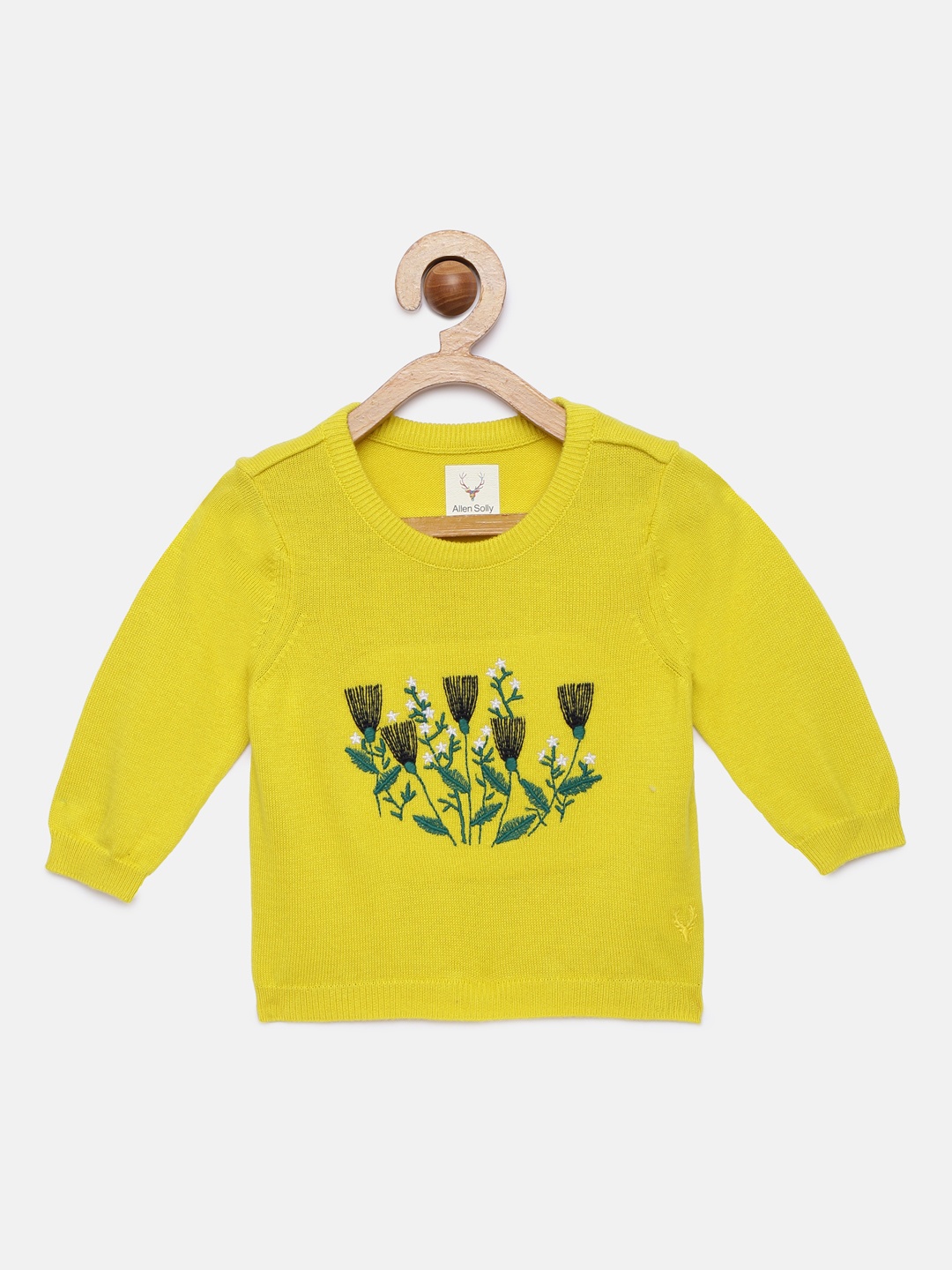 

Allen Solly Junior Girls Yellow Embroidered Pullover Sweater