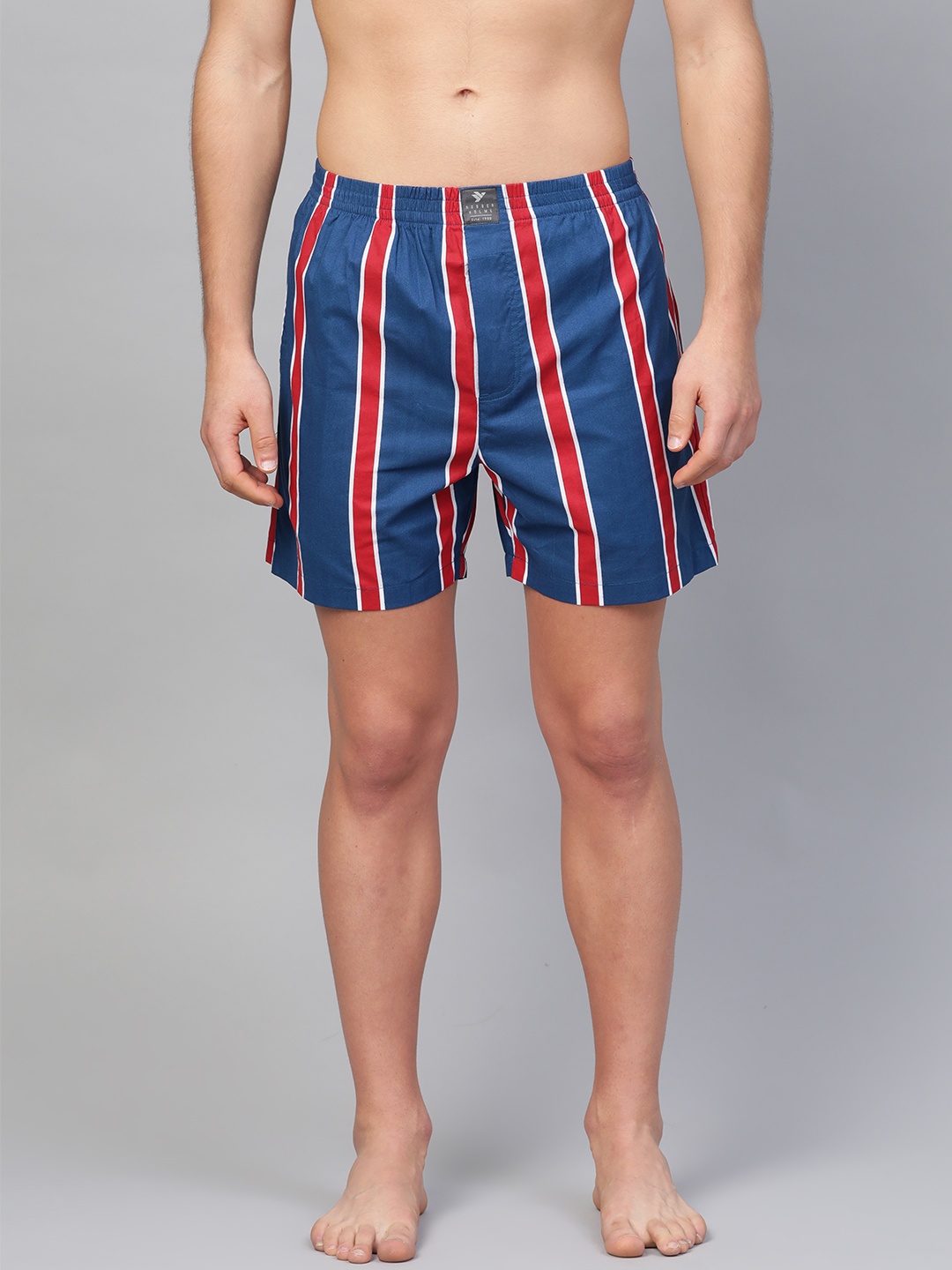

Hubberholme Men Striped Pure Cotton Boxers, Blue