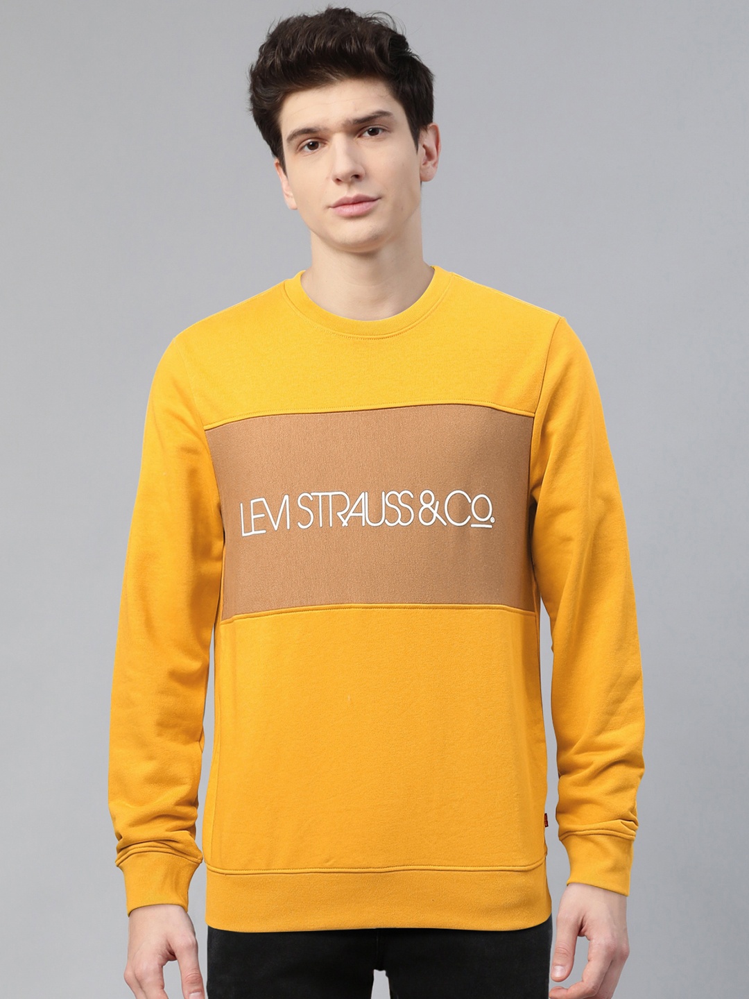 

Levis Men Mustard Yellow & Brown Colourblocked Sweatshirt