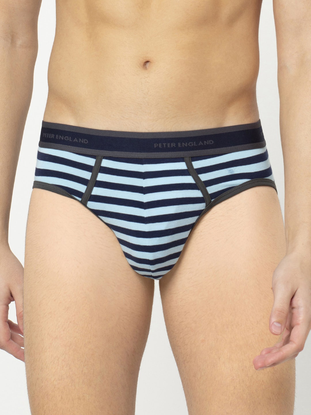 

Peter England Men Blue Striped Basic Briefs PIWBBU9146016