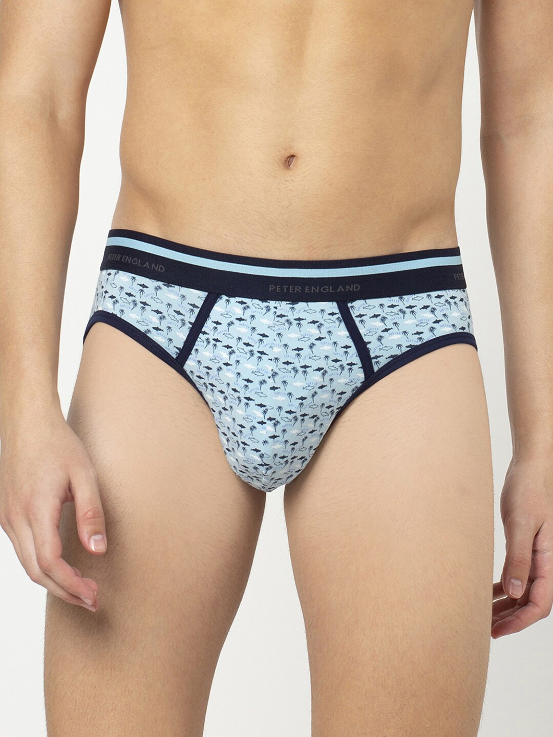 

Peter England Men Blue Printed Basic Briefs PIWBLBU9146022
