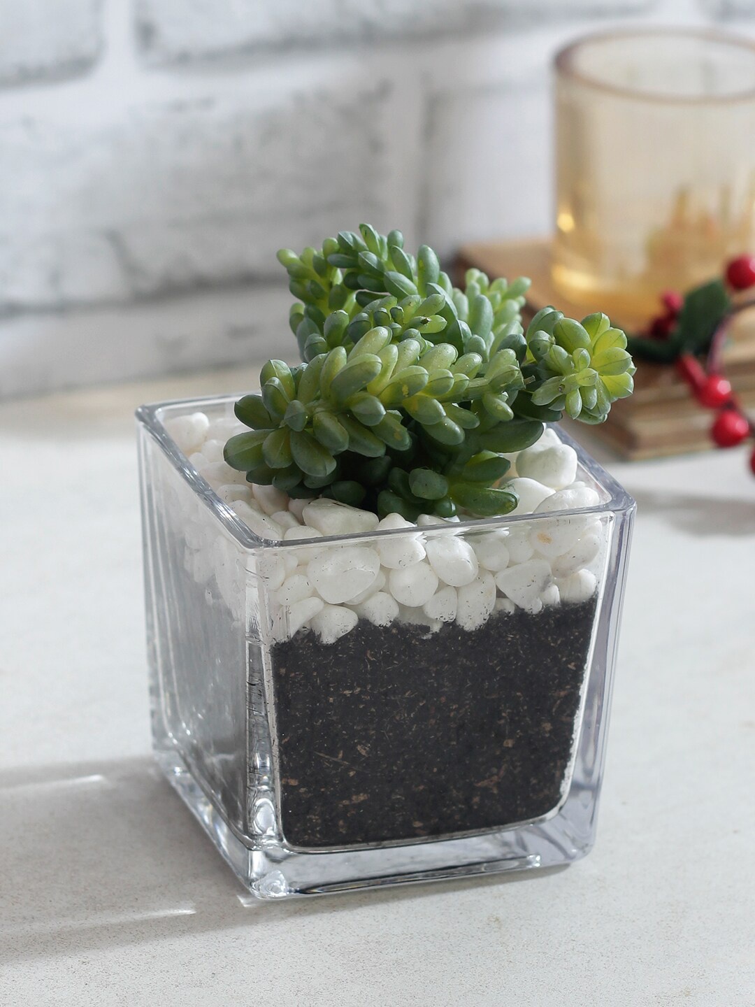 

TAYHAA Green Artificial Bonsai Indoor Plant With Transparent Pot