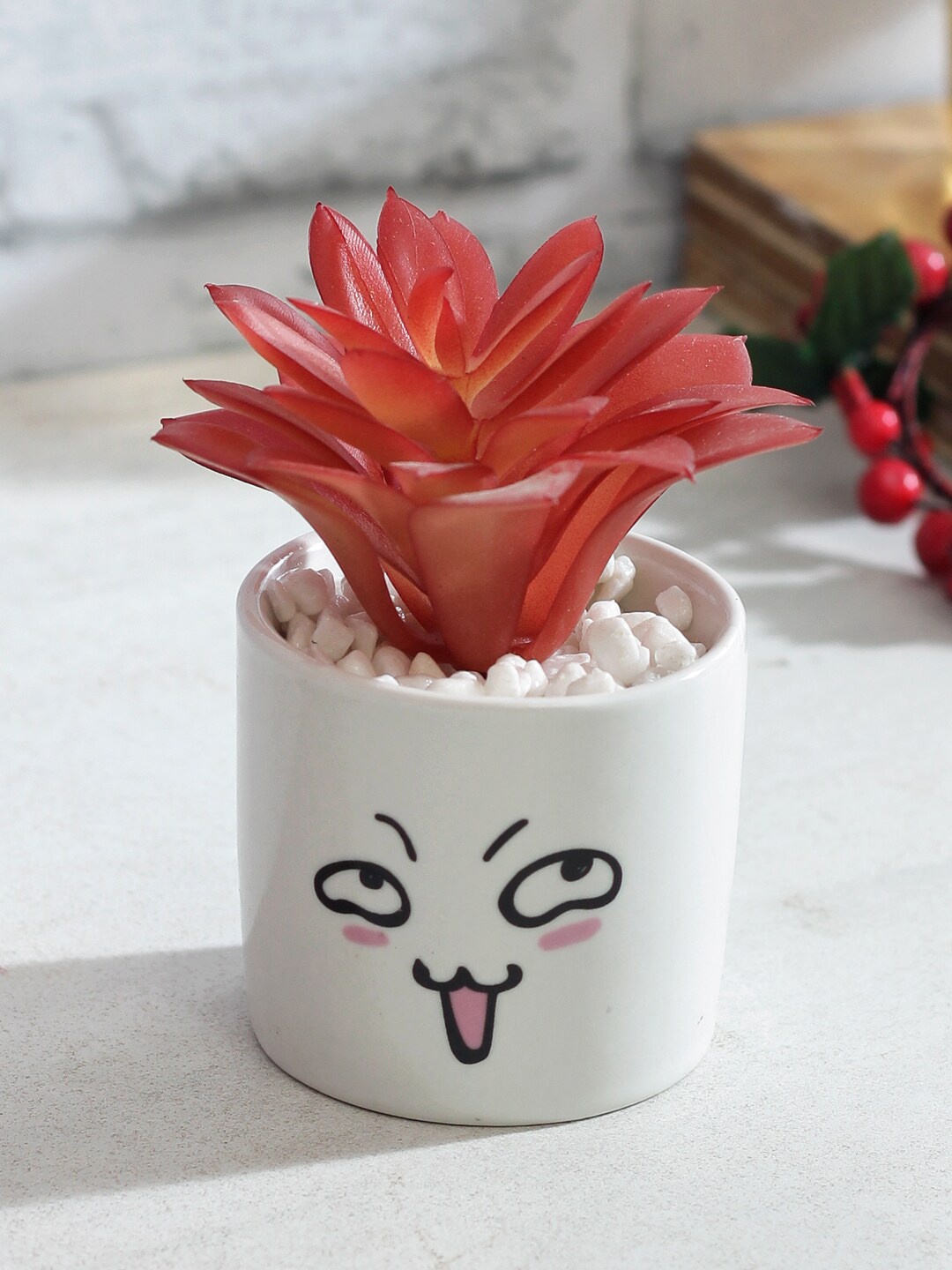 

TAYHAA Red Succulent Plant With White Pot