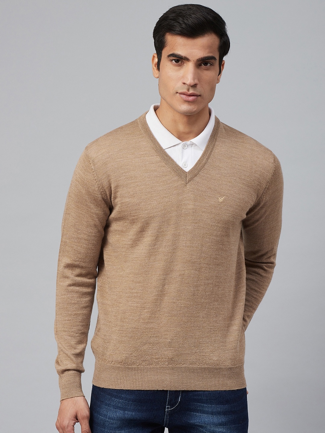 

Blackberrys Men Beige Solid Woollen Pullover