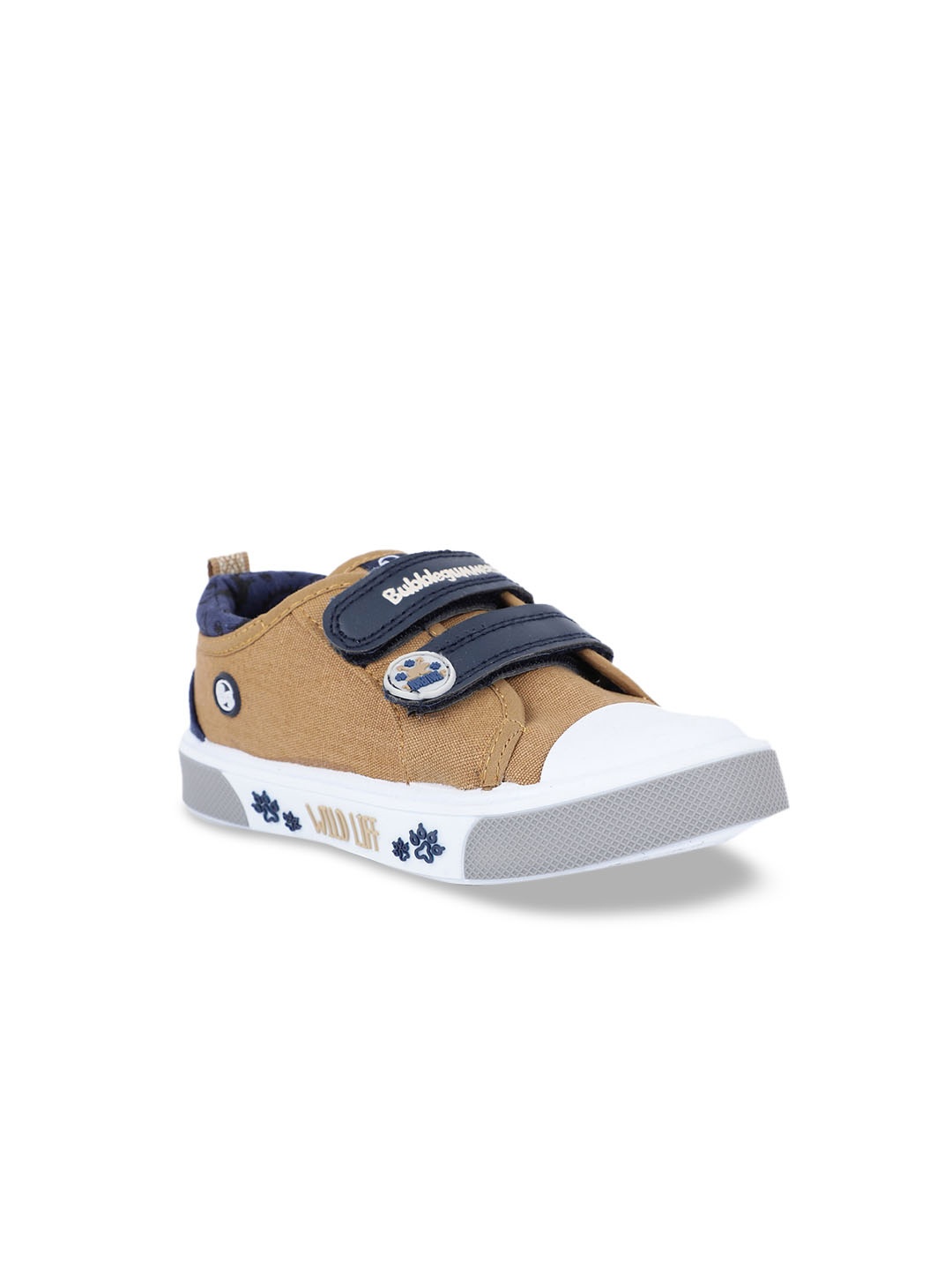 

Bubblegummers Boys Brown & Navy Blue Colourblocked Slip-On Sneakers