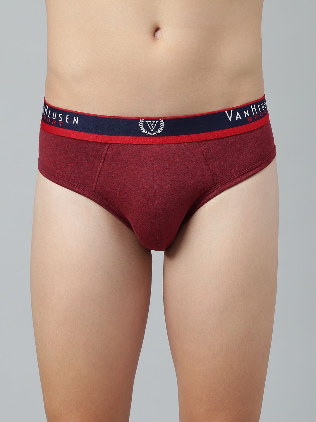 

Van Heusen Men Solid Jaspe Textured No Marks Briefs, Red