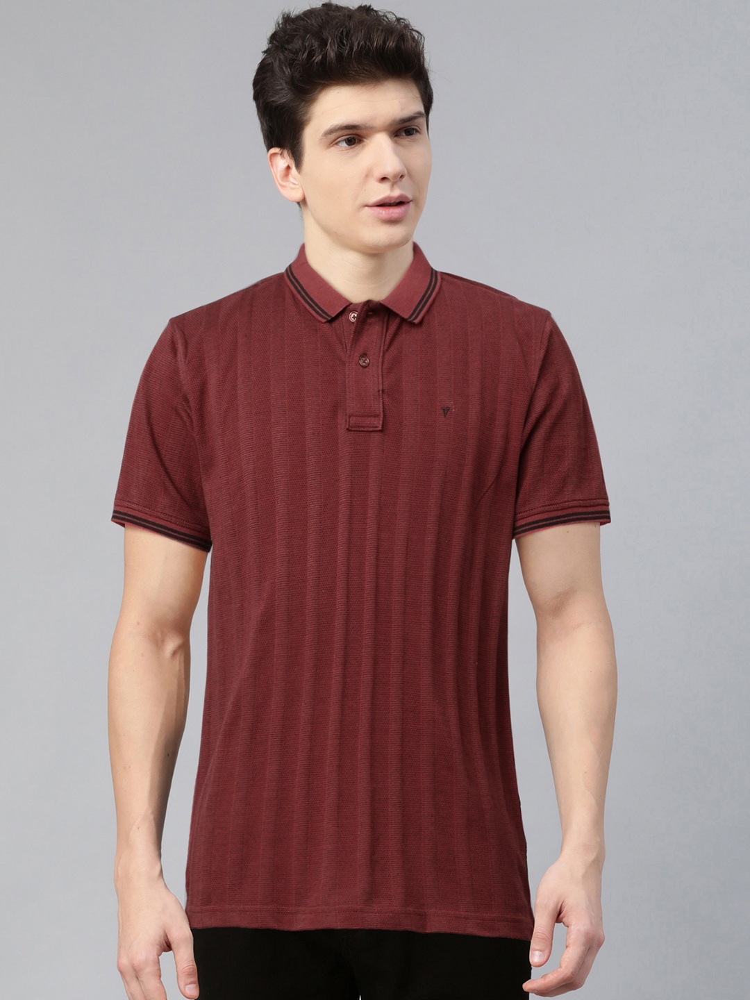 

Van Heusen Sport Men Maroon & Black Self Striped Polo Collar T-shirt