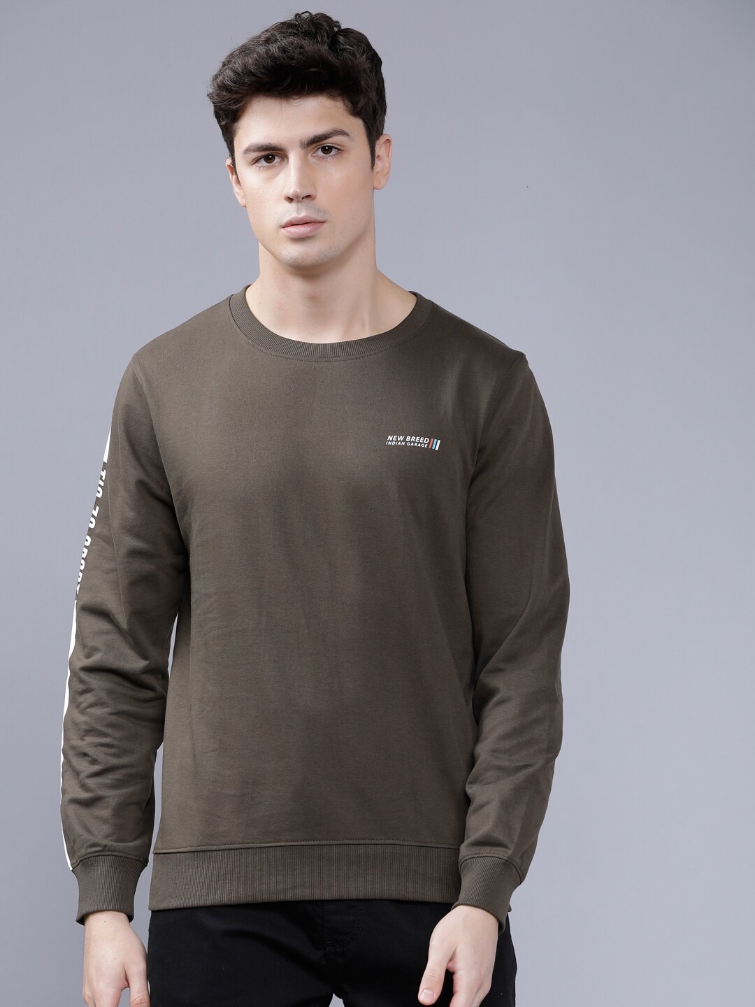 

The Indian Garage Co Men Olive Brown Solid Sweatshirt