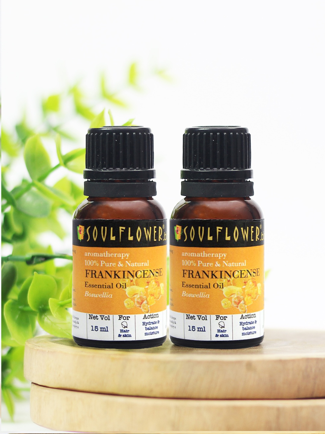 

Soulflower Pack of 2 Frankincense Pure Essential Oil For Overall Wellness 15ml each, Yellow