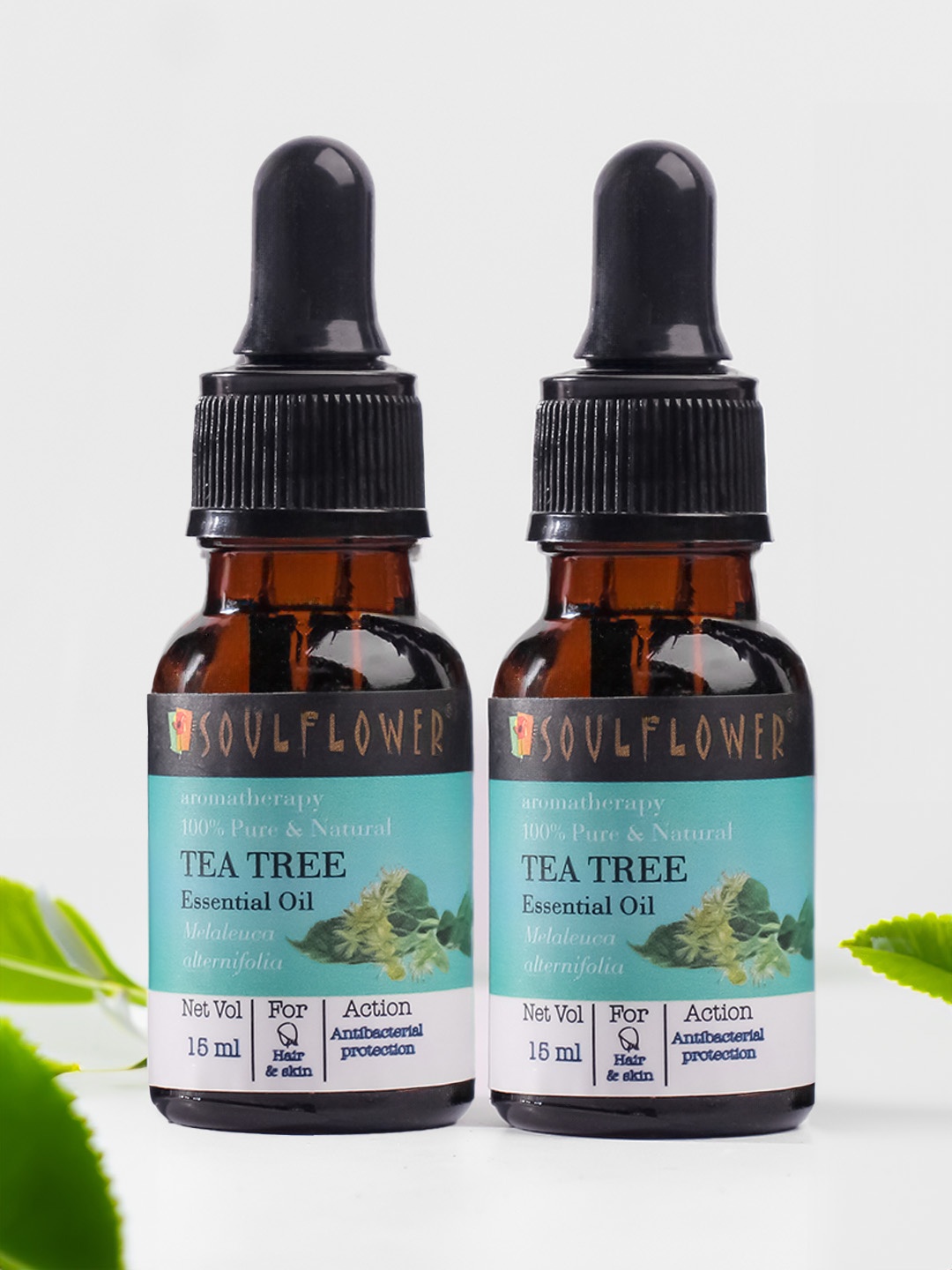 

Soulflower Set of 2 Tea Tree Anti-Dandruff Essential Oil - 15 ml Each, Blue