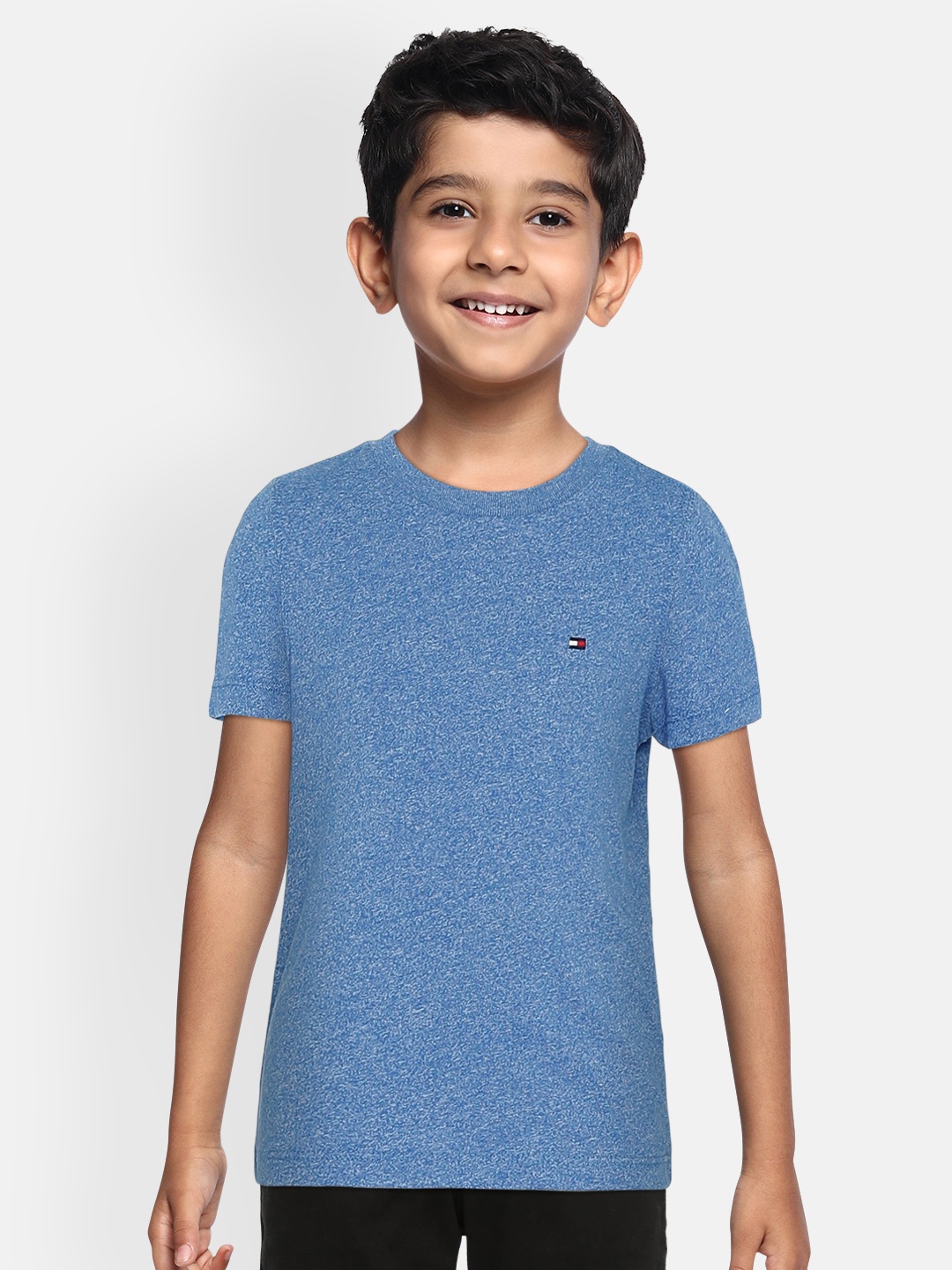 

Tommy Hilfiger Boys Blue Solid Round Neck T-shirt