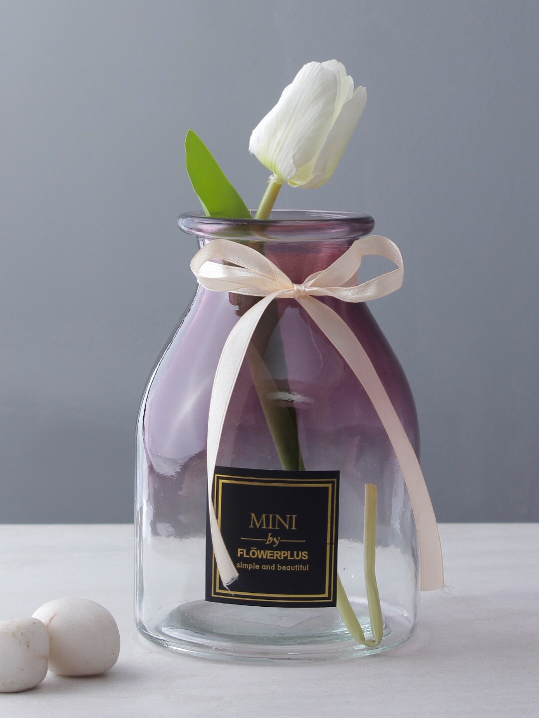 

TAYHAA Purple & Transparent Glass Flower Vase