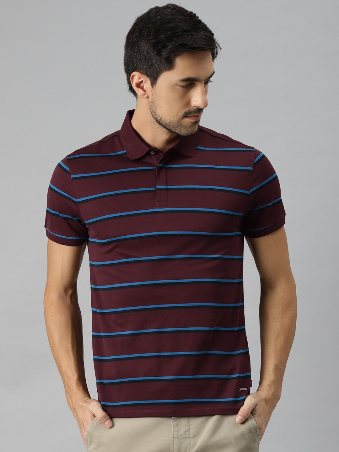 

Levis Men Maroon & Blue Striped Polo Collar Slim Fit T-shirt
