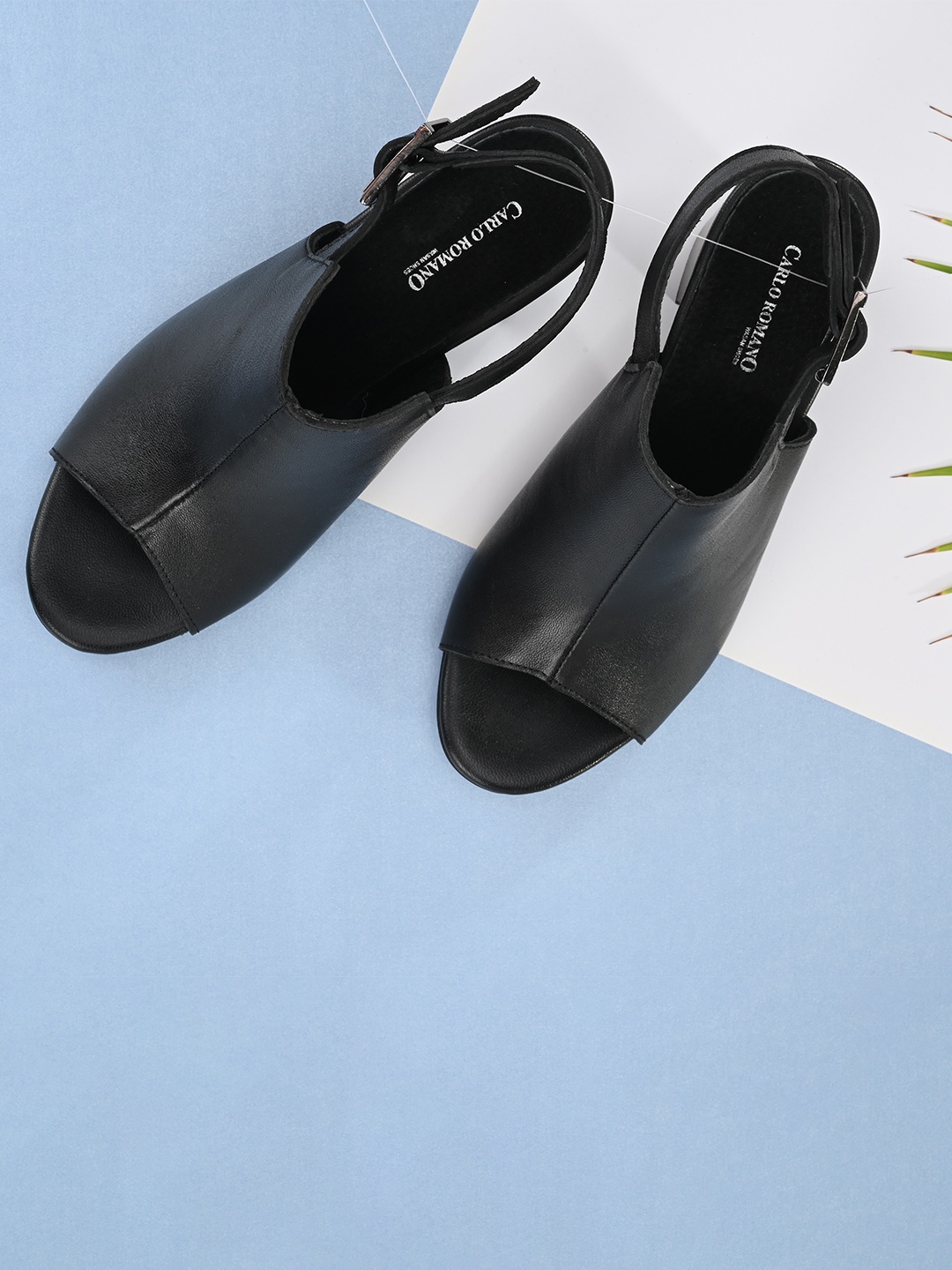 

CARLO ROMANO Women Black Solid Mules