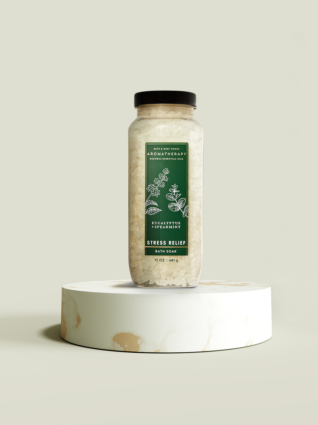 

Bath & Body Works Aromatherapy Eucalyptus & Spearmint Stress Relief Bath Soak 481g, Green