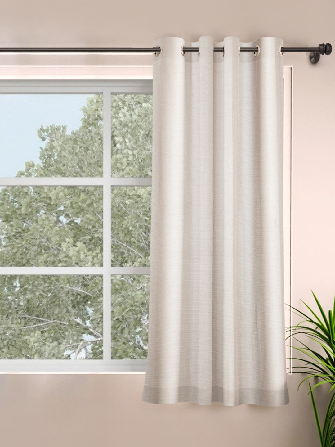 

ROSARA HOME Cream Coloured Solid Window Curtain
