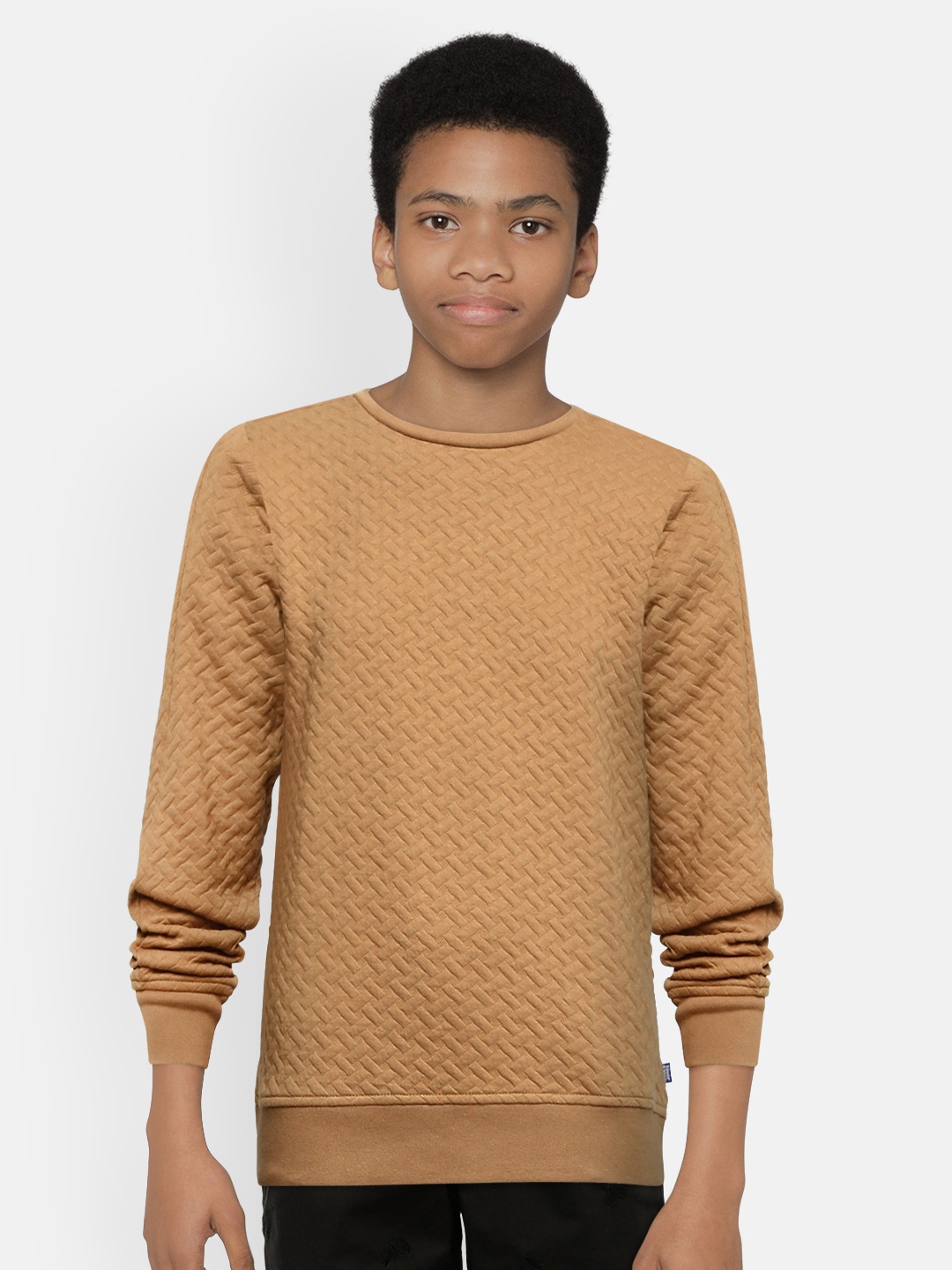 

Jack & Jones Boys Brown Self Design Sweatshirt