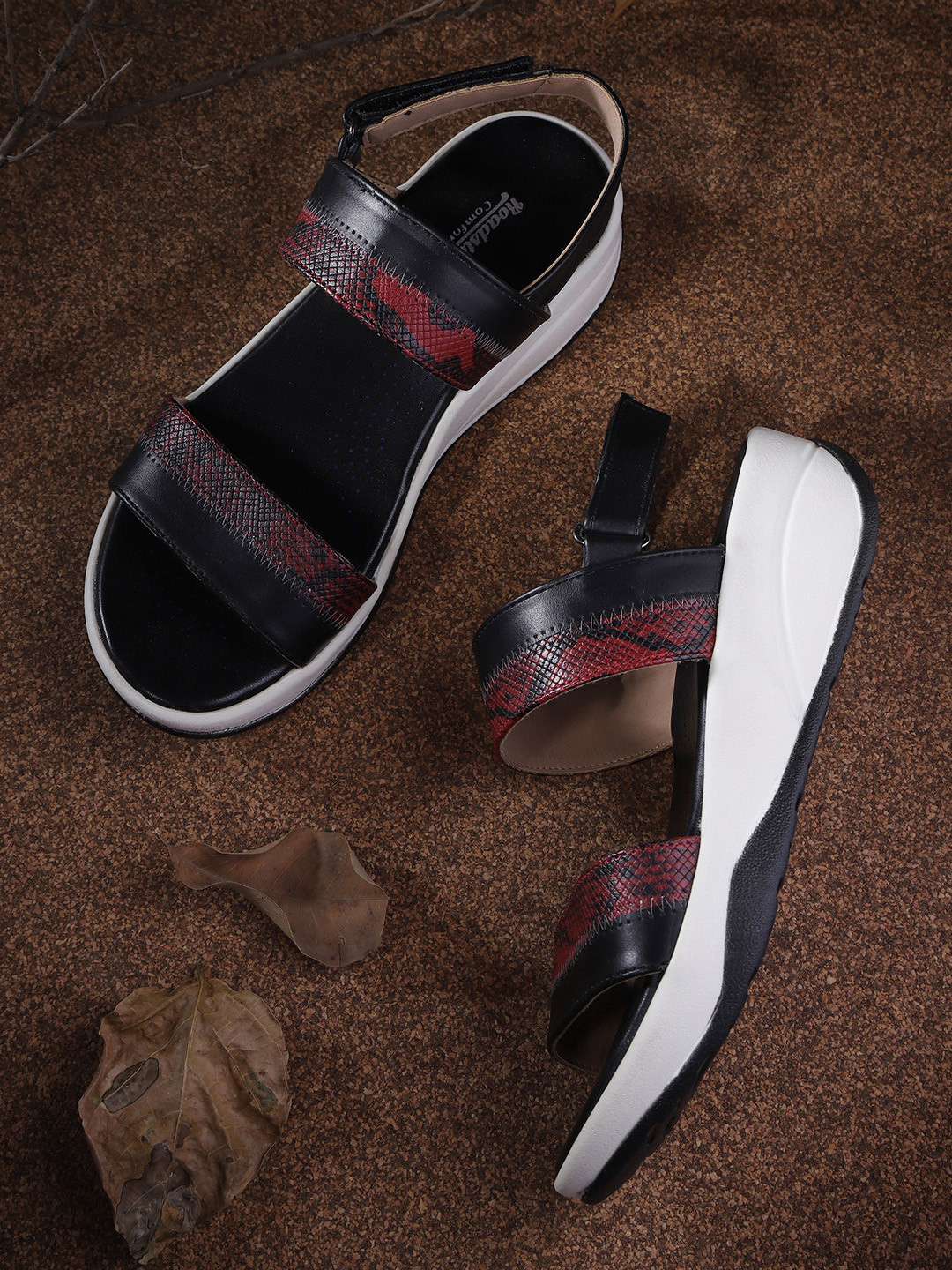 

The Roadster Lifestyle Co Women Maroon & Black Snake Skin Textured & Colourblocked Comfort Heels