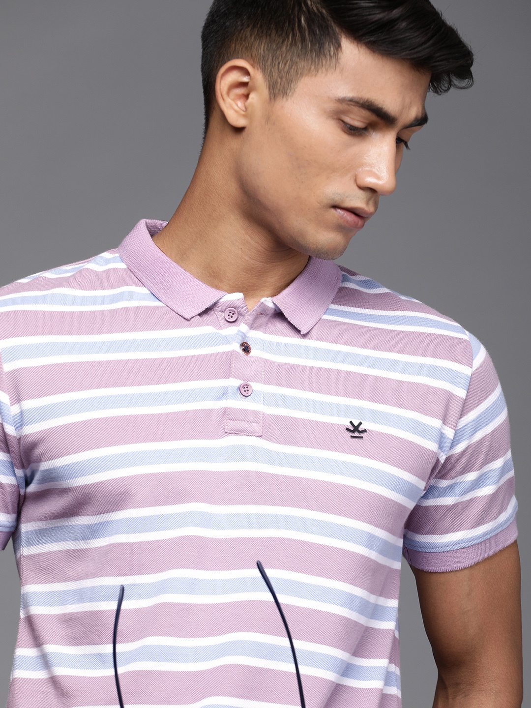 

WROGN Men Purple Blue Striped Polo Collar Slim Fit Pure Cotton T-shirt