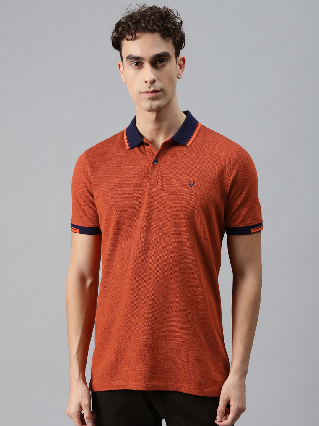 

Allen Solly Men Rust Brown Polo Collar T-shirt