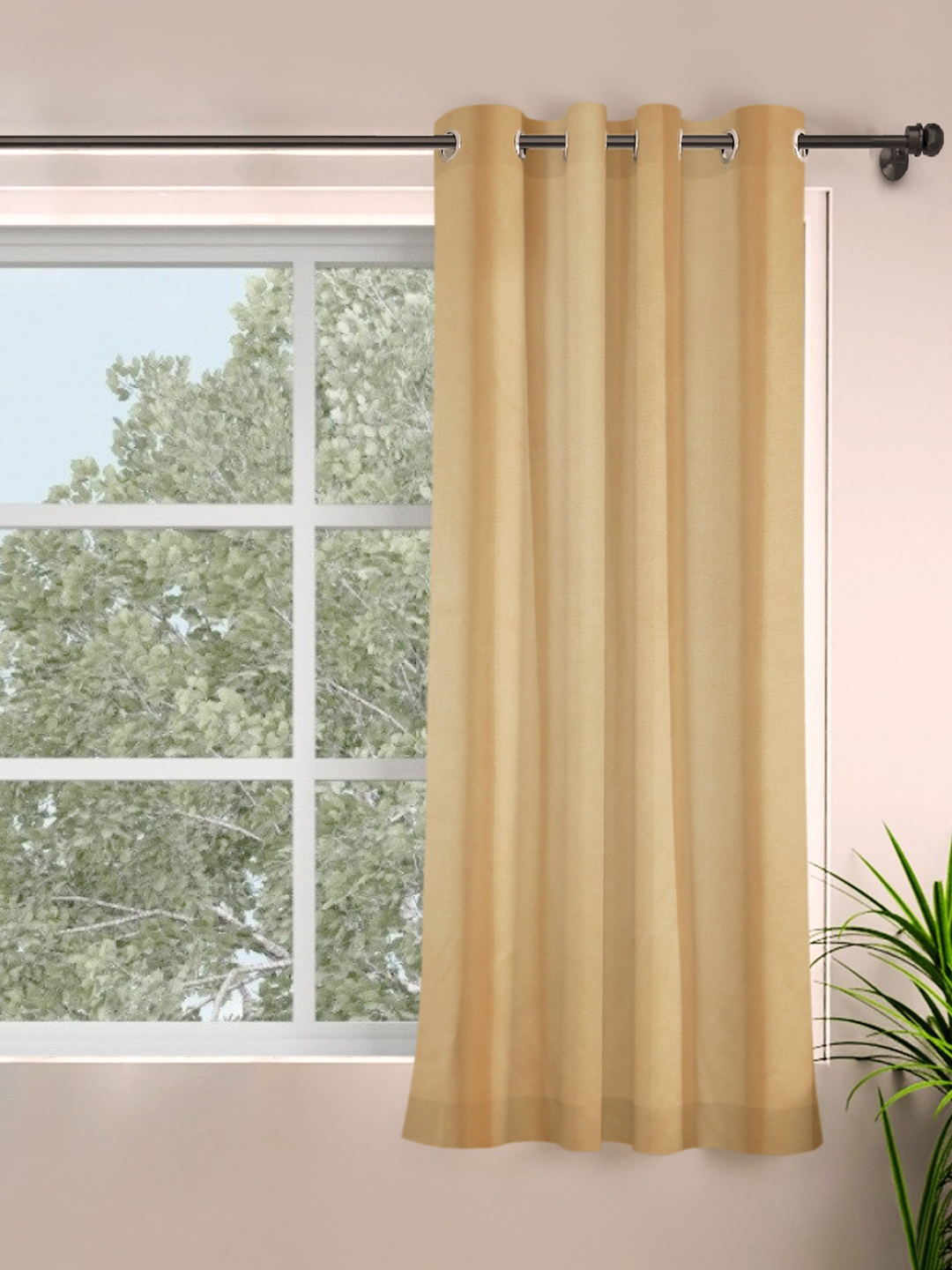 

ROSARA HOME Taupe Single Black Out Window Curtain