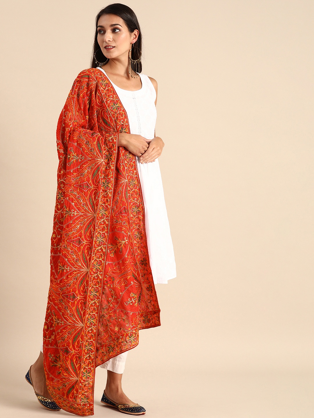 

VASTRANAND Multicoloured Embroidered Dupatta, Multi