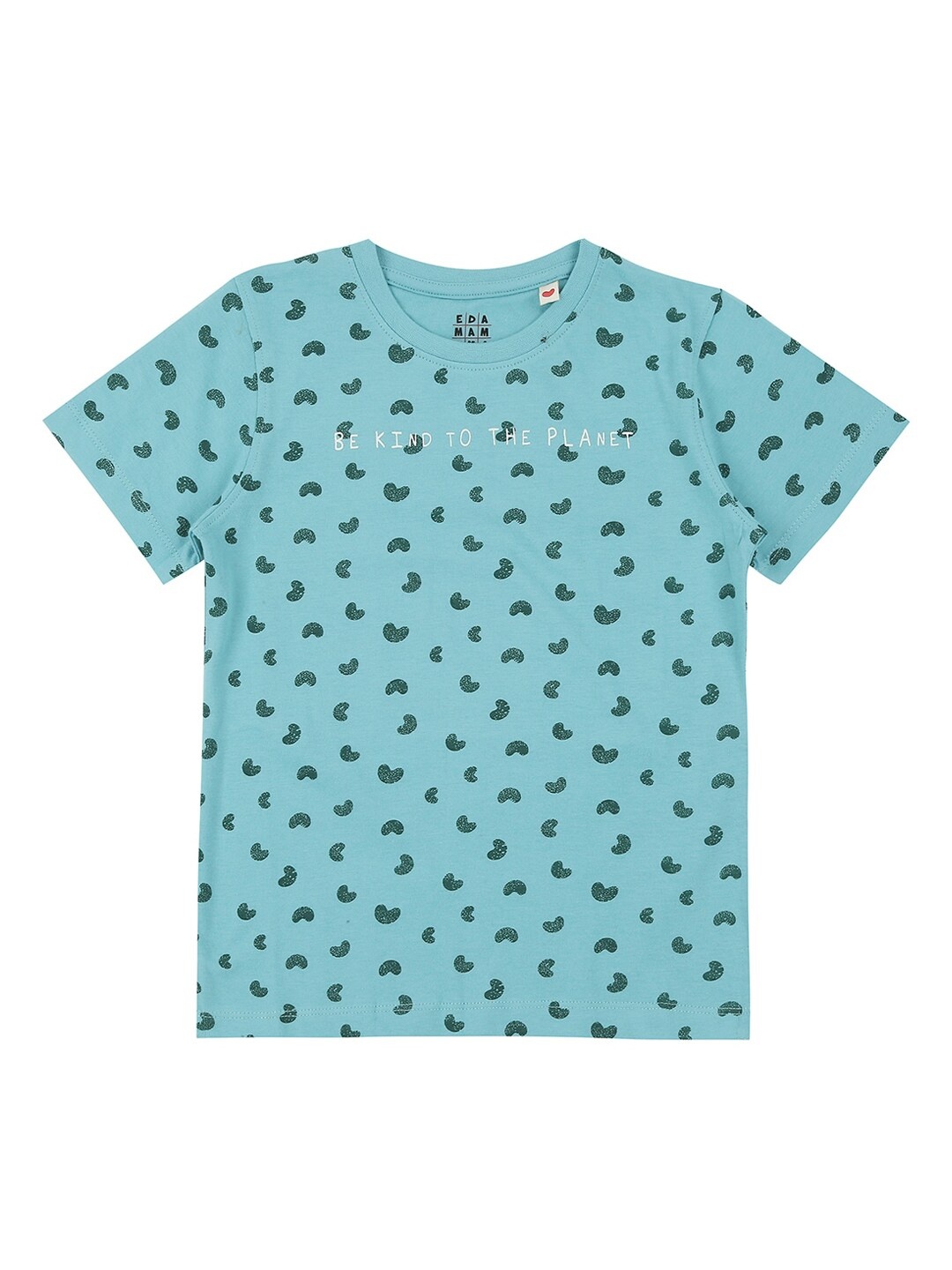 

Ed-a-Mamma Kids Teal Printed Round Neck Sustainable T-shirt